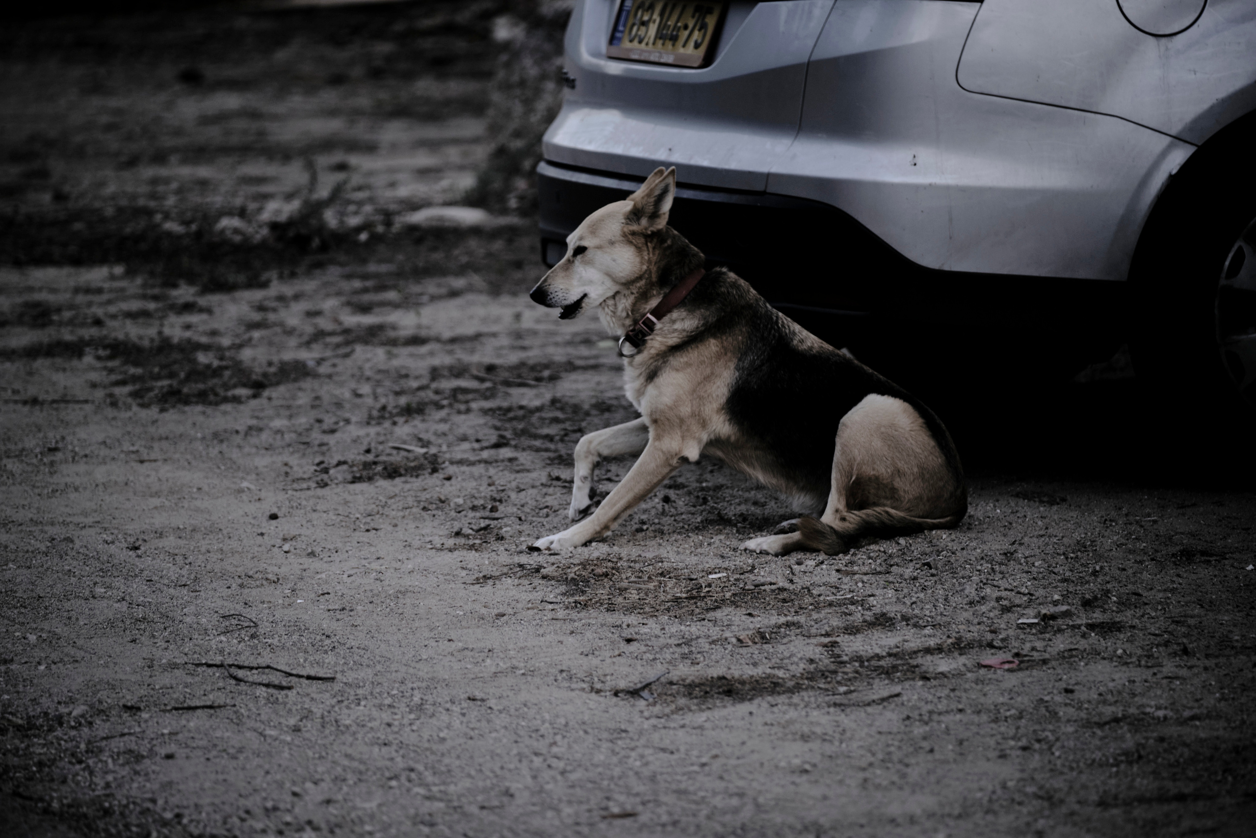 Photo session. Middle East Photo Agency — Свадьбы, Бар и Бат-мицва, Брит, Театр, Магниты, Портреты