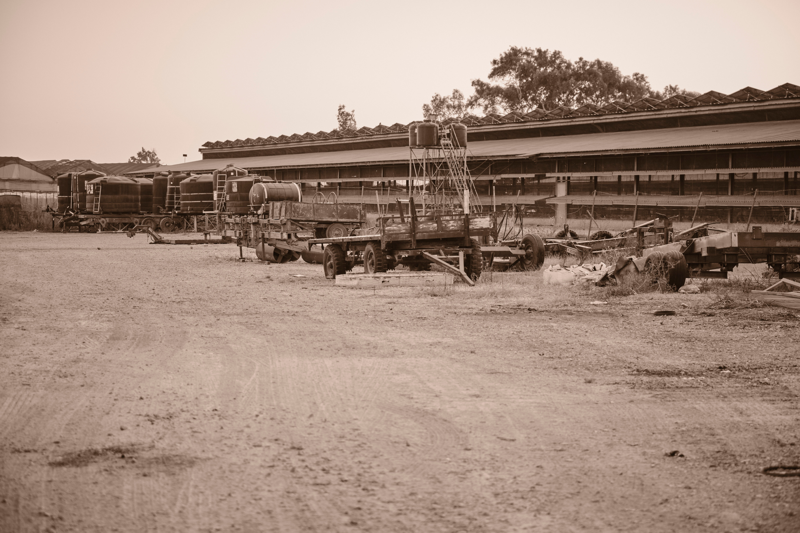 Photo session. Middle East Photo Agency — Свадьбы, Бар и Бат-мицва, Брит, Театр, Магниты, Портреты