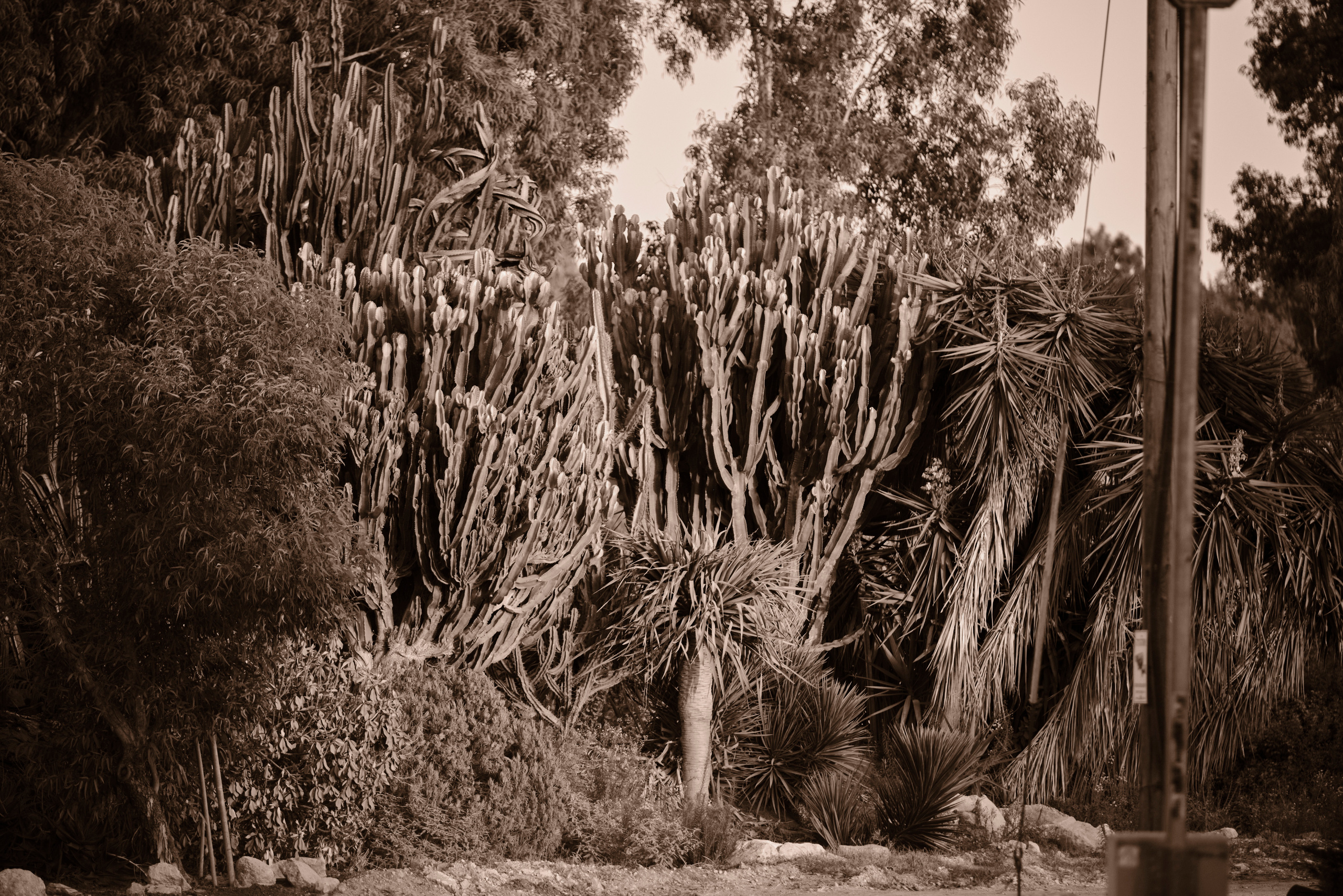 Photo session. Middle East Photo Agency — Свадьбы, Бар и Бат-мицва, Брит, Театр, Магниты, Портреты