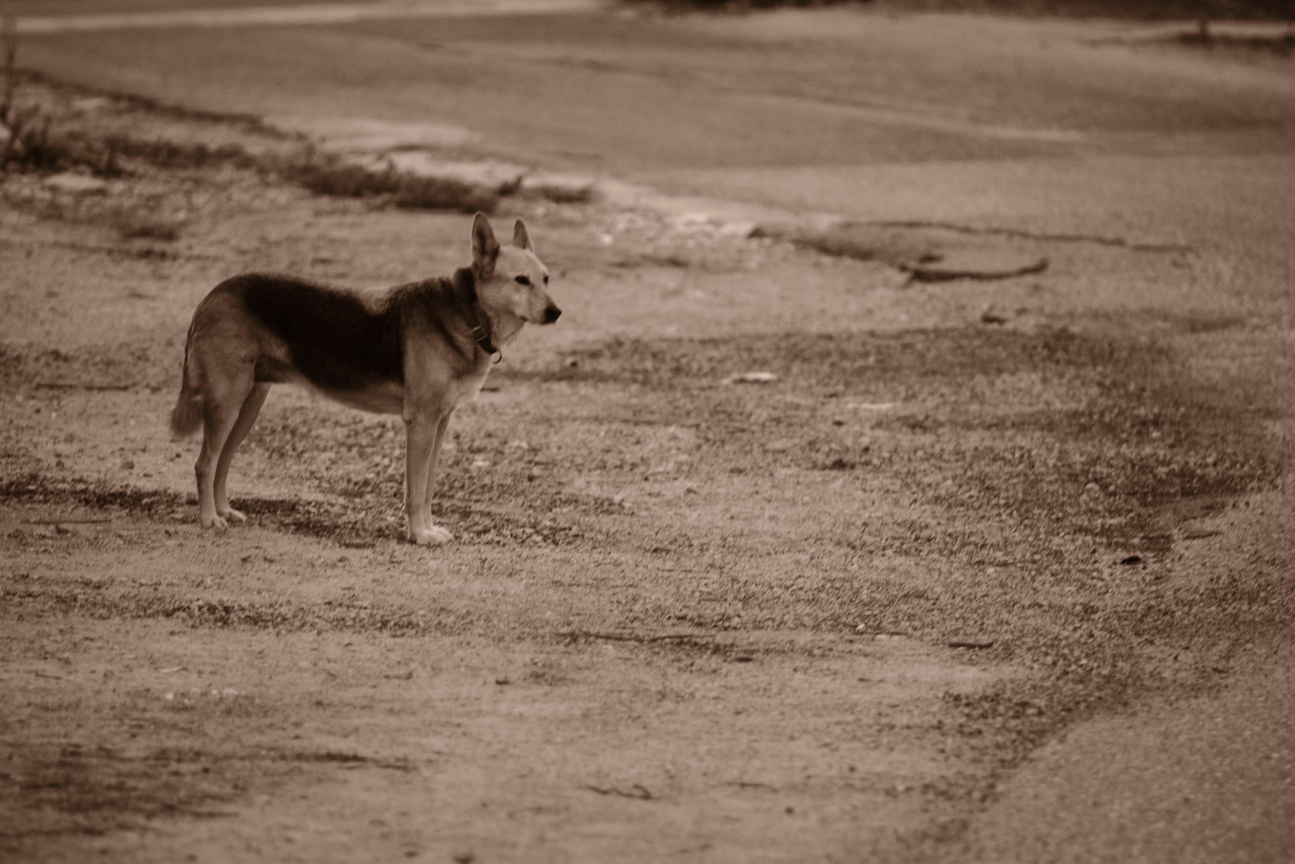 Photo session. Middle East Photo Agency — Свадьбы, Бар и Бат-мицва, Брит, Театр, Магниты, Портреты