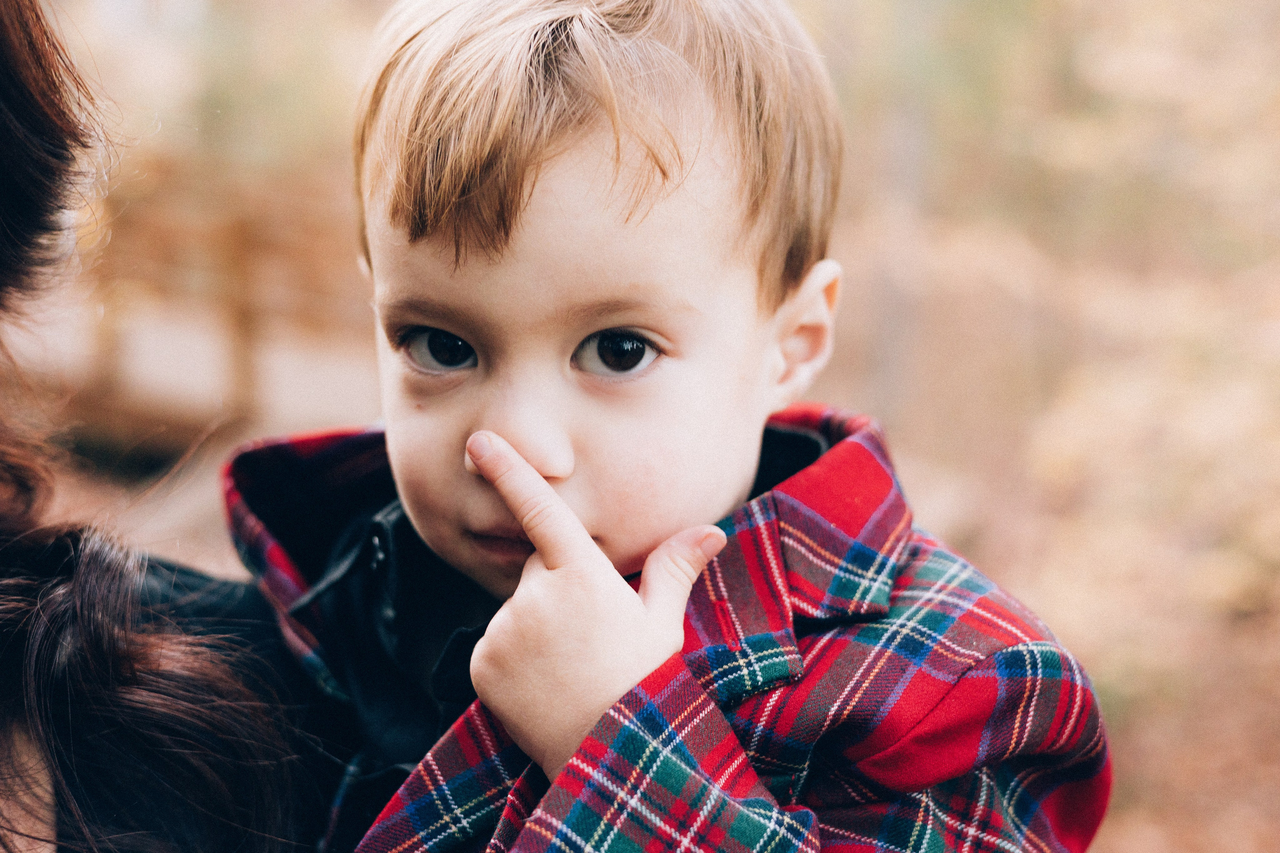 The Carpenters Christmas. Sara Eulalia | Virginia Photographer