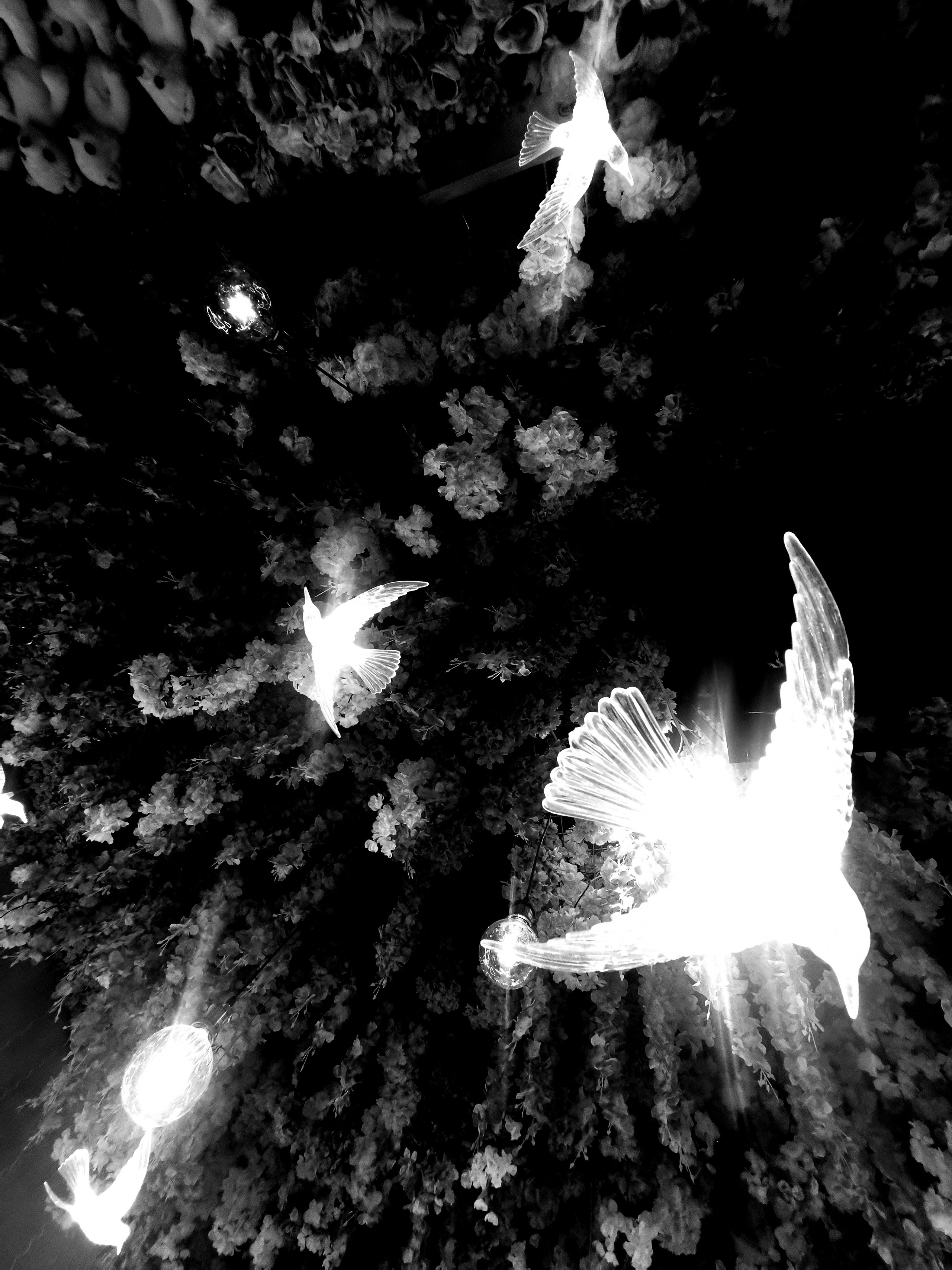 Impact Photo Collecton. Professional Artist, teacher of art, Artistic Photographer In Dubai (U