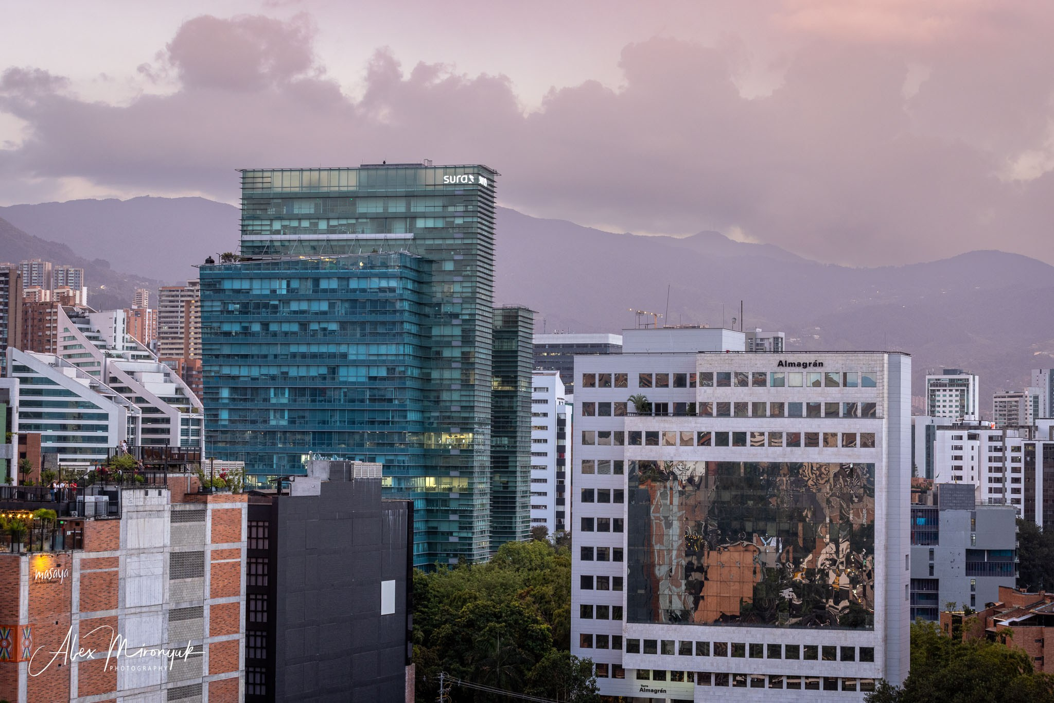 Colombia in Style. Pet, Senior, Landscape, portrait studio, photographer in Miami and Sou