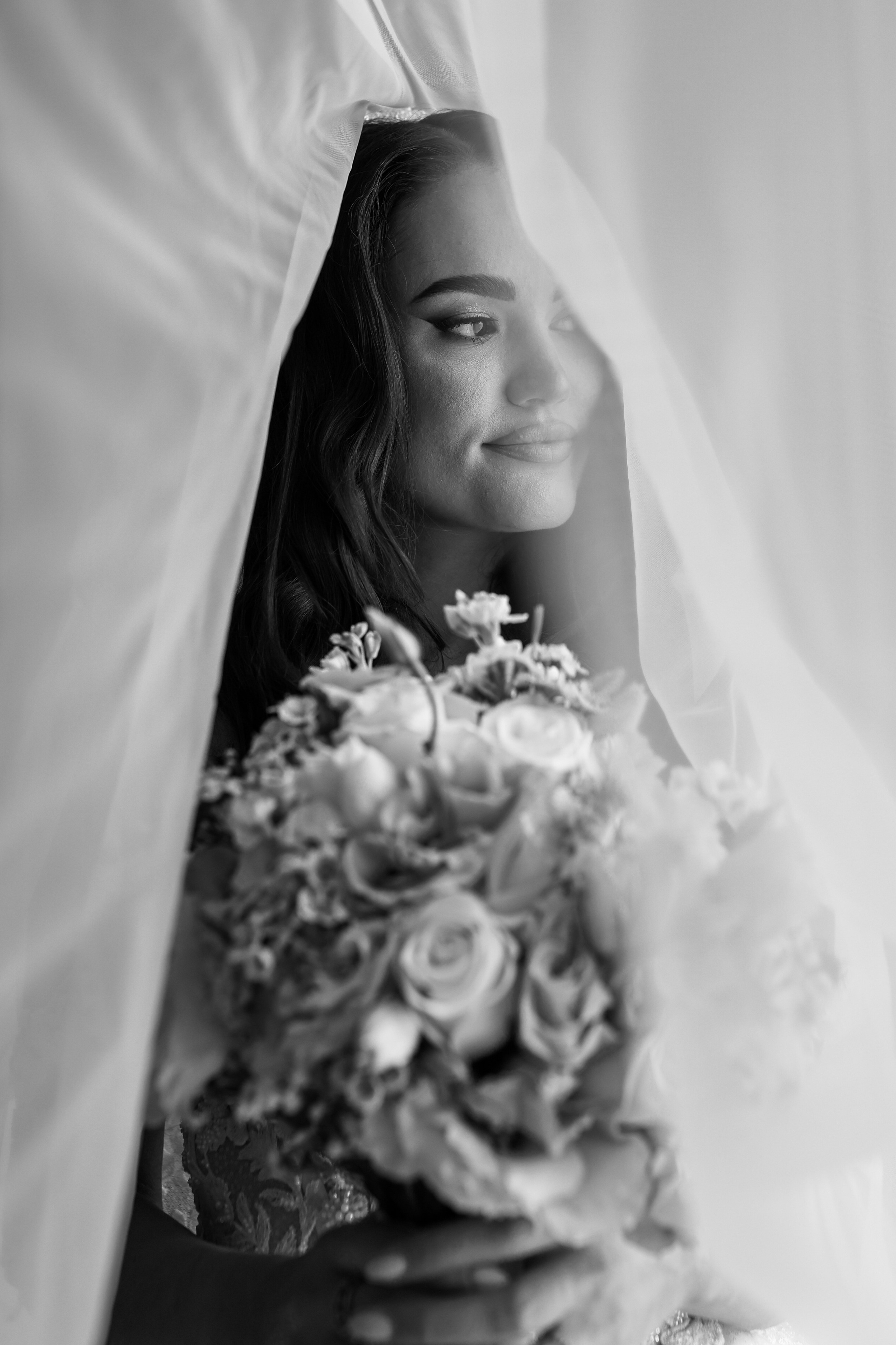 Wedding’s. Filić Aleksandar