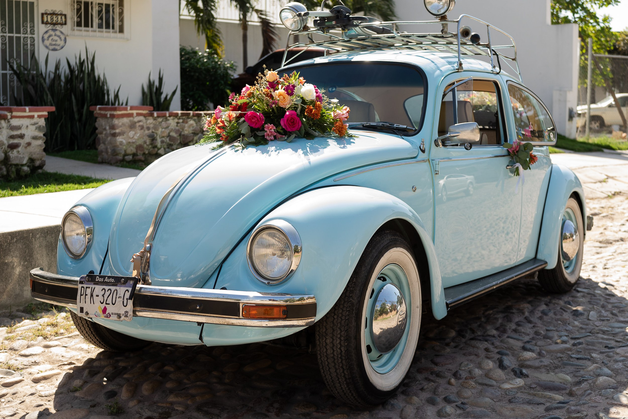 Dalhy Go-Fotografo Puerto Vallarta