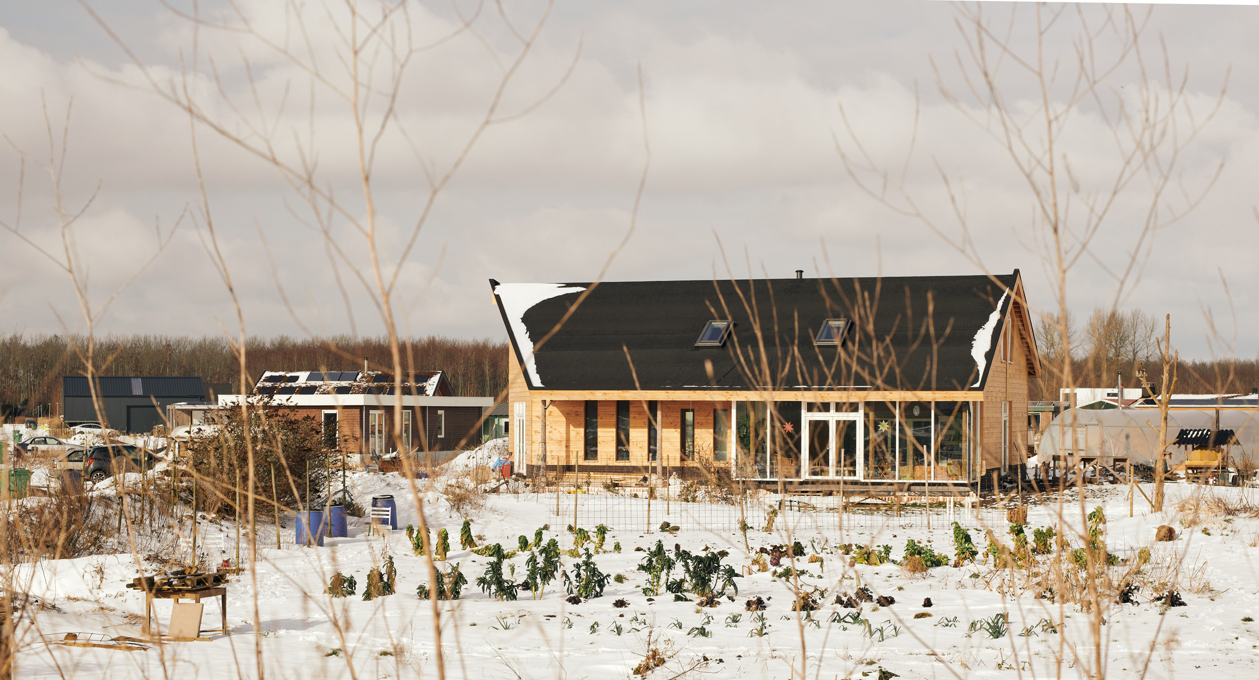 Live-To-Be. Portrait Photographer in Brussels & Amsterdam — Victoria Ushkanova