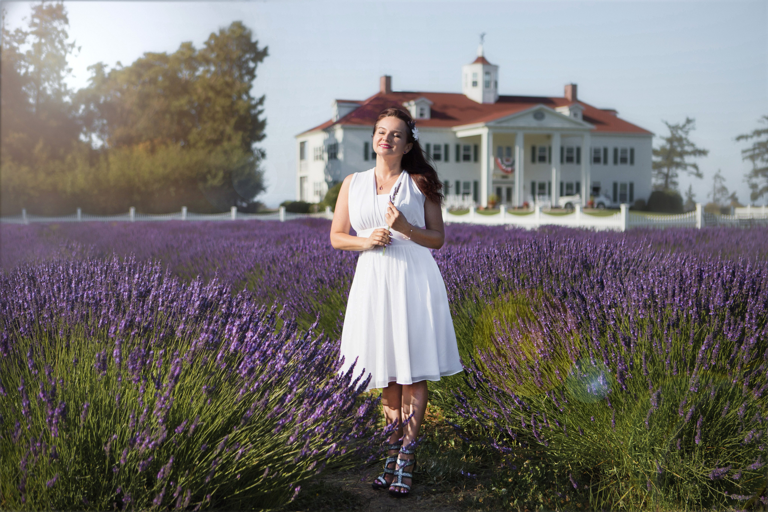 Lavender fields photoshoot. YuAnna studio. Family & Kids Photographer in Seattle area, located in