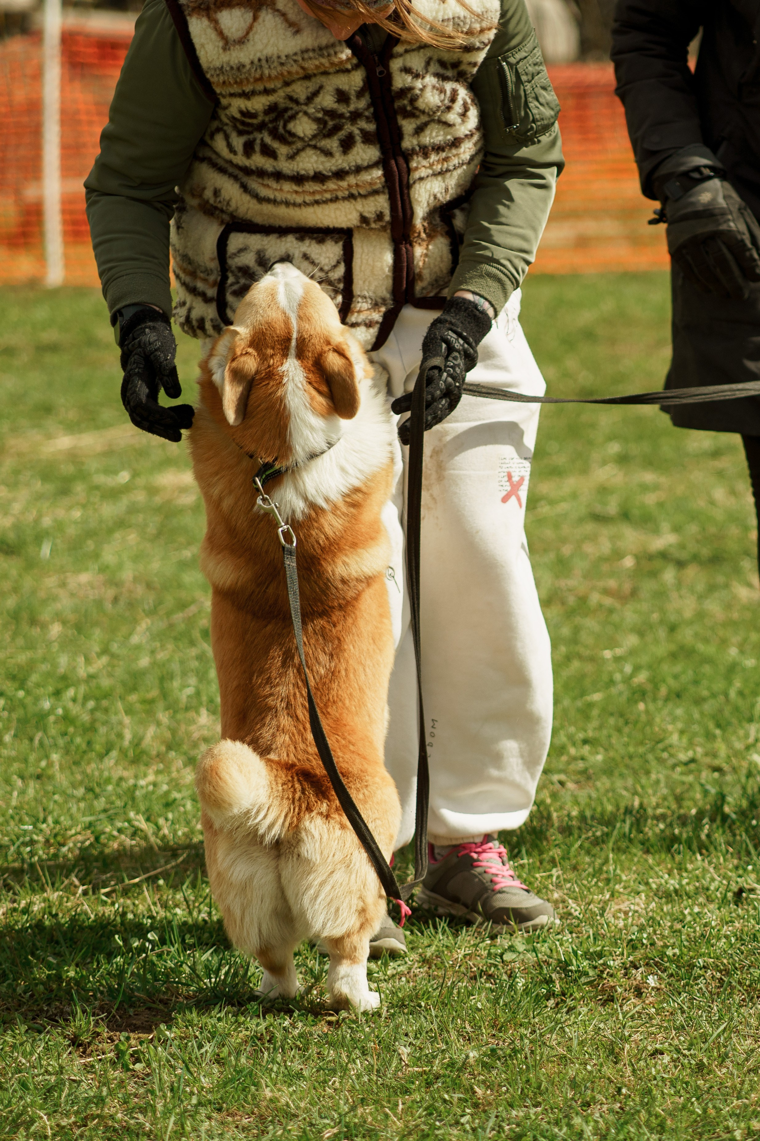 Herding Days, 26 apr. 2025. Kat Laisaar — Pet photographer in Tallinn