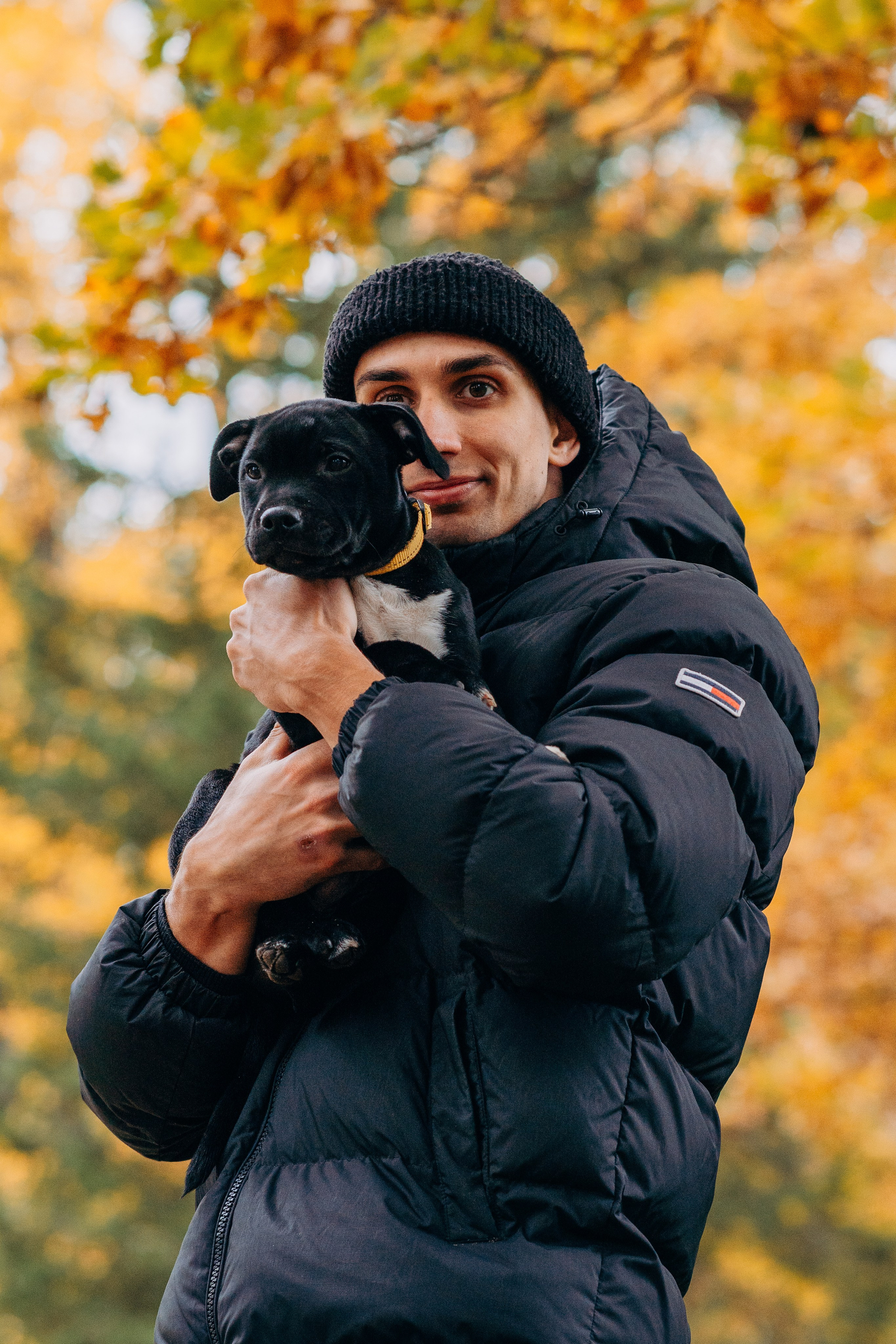 Staffordshire Bull Terriers Meetup. Kat Laisaar — Pet photographer in Tallinn