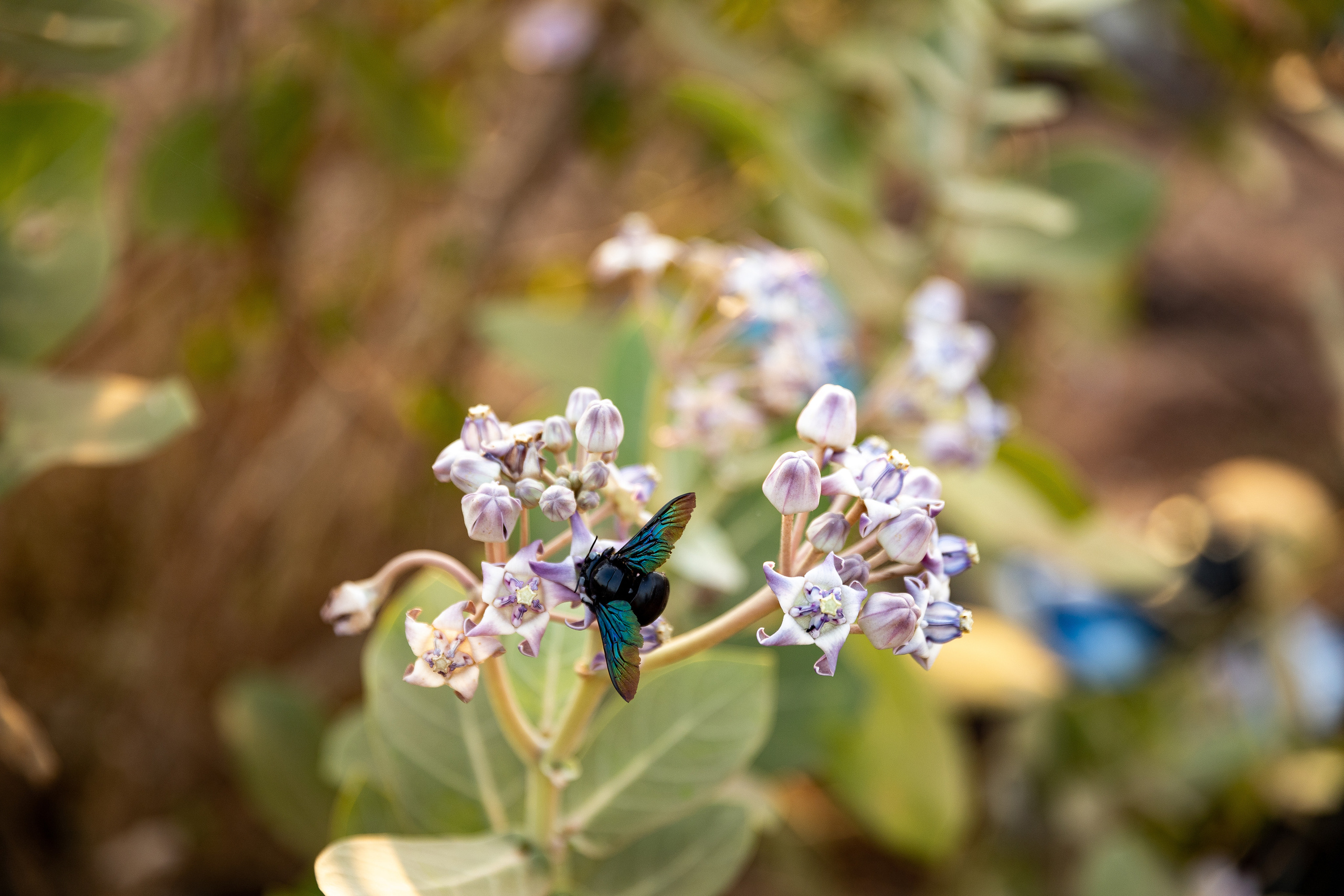 Product photography. International Photographer