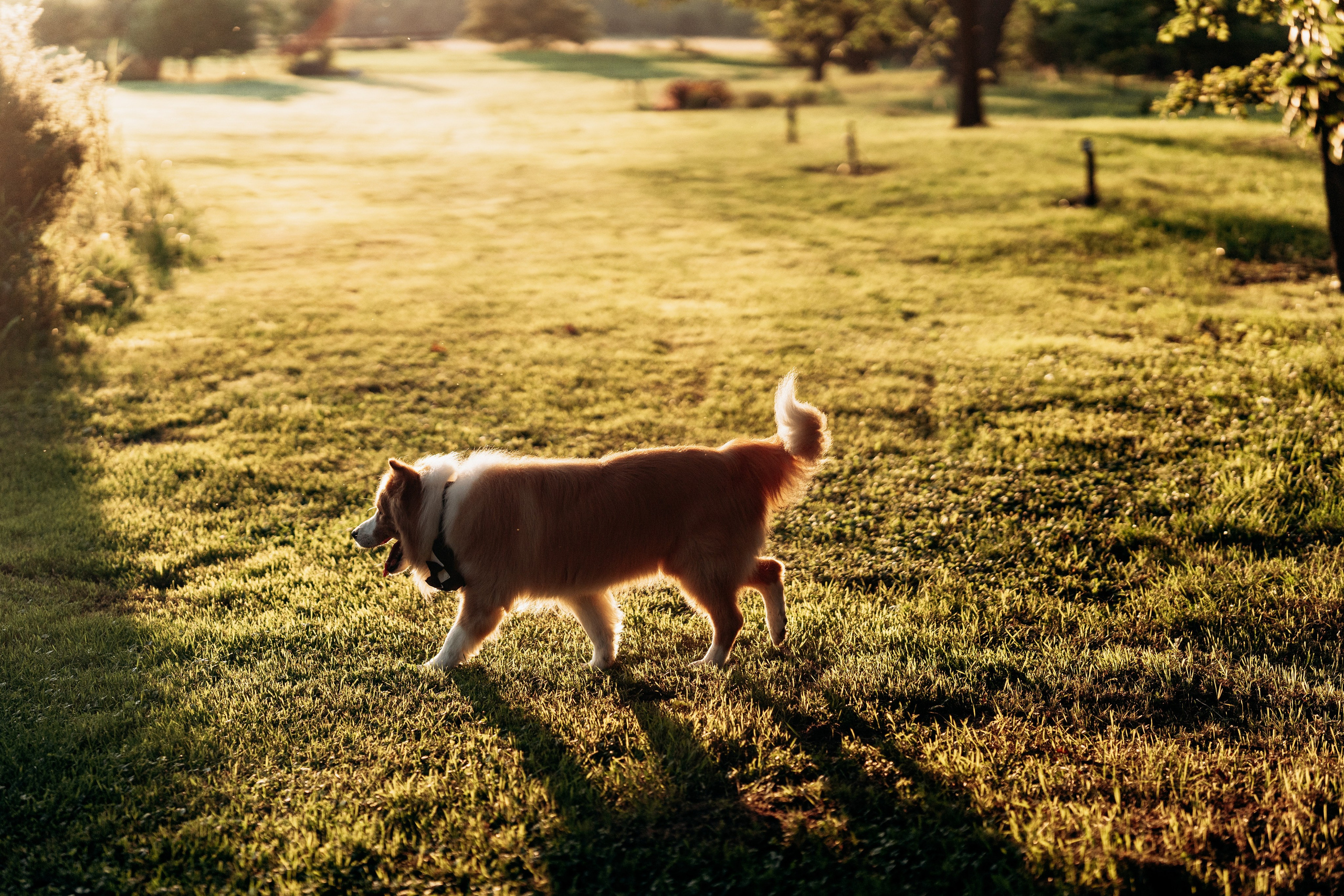 D&P. SL Wedding Photo: ponadczasowa fotografia ślubna | Wrocław & Europa