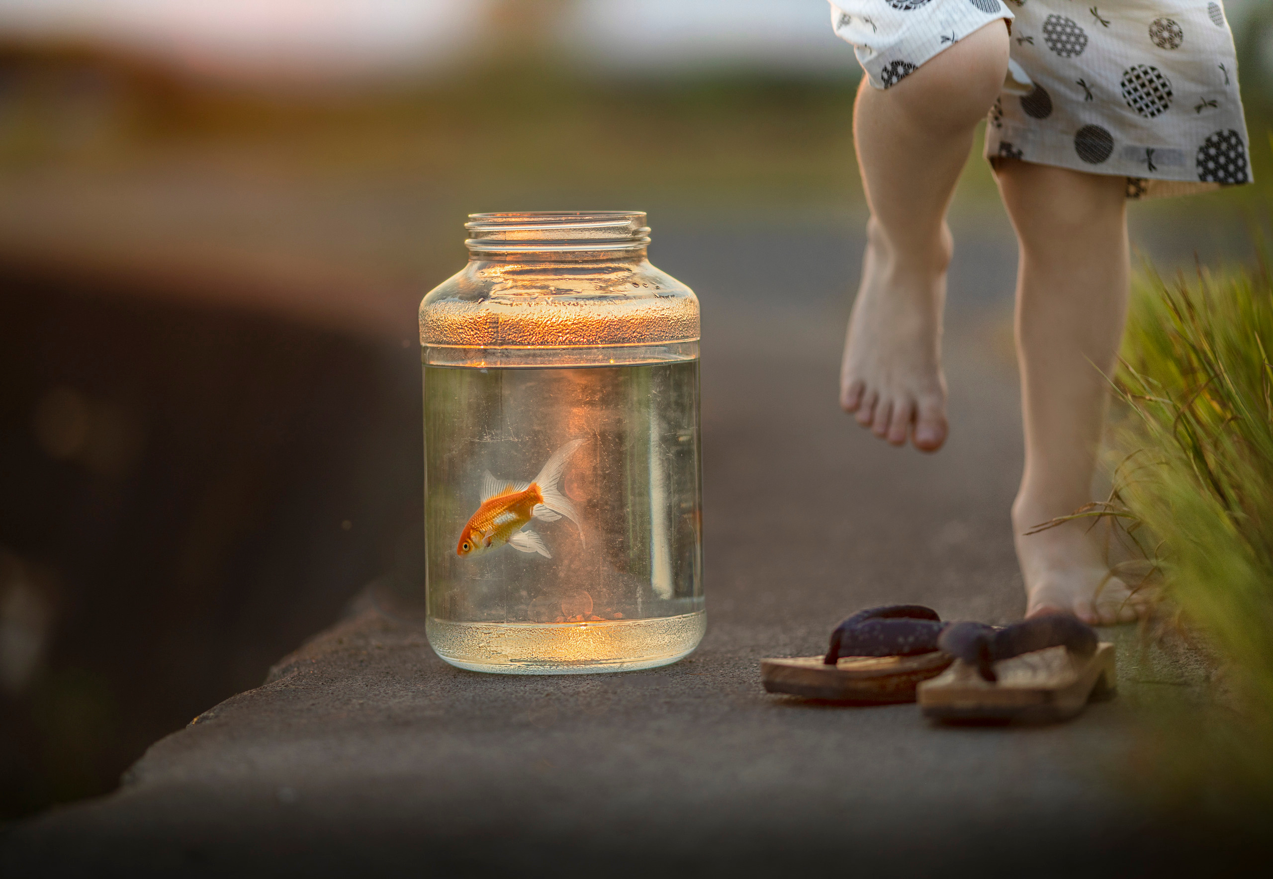 出張カメラマン　七五三　753 家族写真　家族　子供　記念写真　山梨県　東京　静岡　長野. Kids and Family Photographer in Japan　子供と家族の撮影　日本