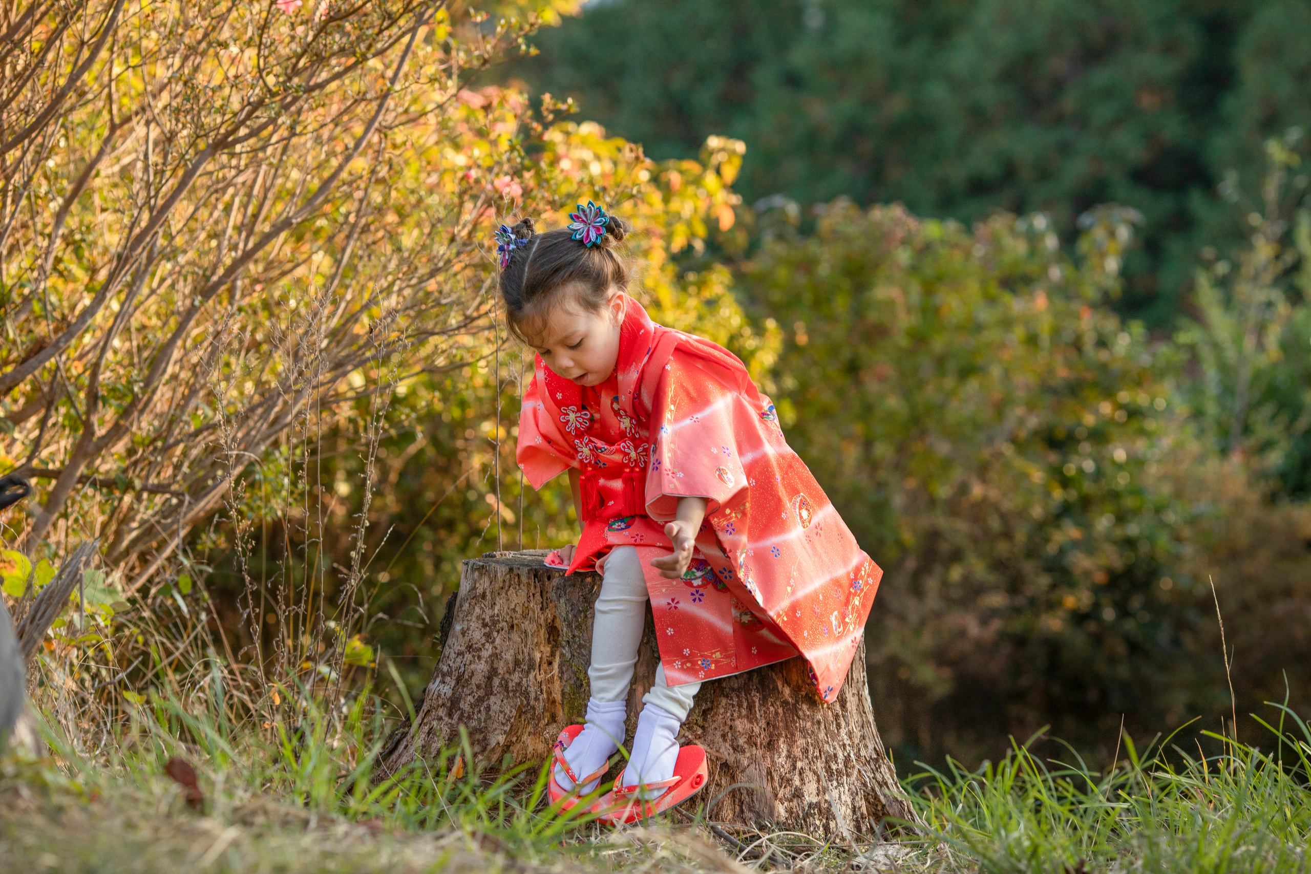 出張カメラマン　七五三　753 家族写真　家族　子供　記念写真　山梨県　東京　静岡　長野. Kids and Family Photographer in Japan　子供と家族の撮影　日本