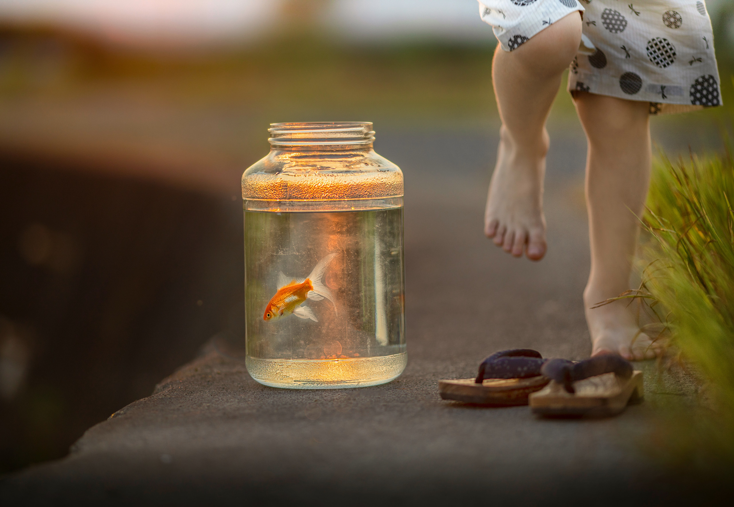 出張カメラマン　七五三　753 家族写真　家族　子供　記念写真　山梨県　東京　静岡　長野. Kids and Family Photographer in Japan　子供と家族の撮影　日本