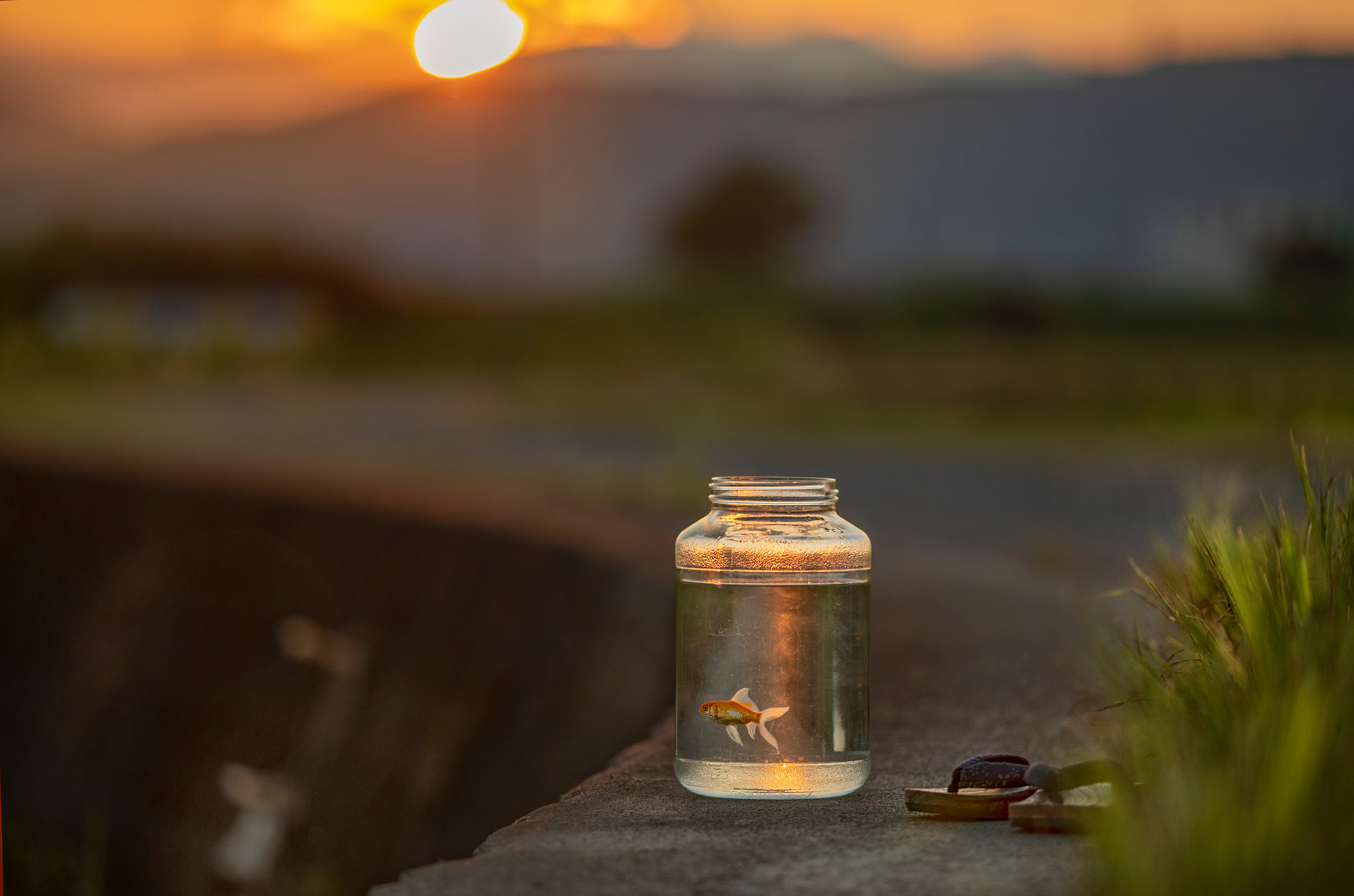出張カメラマン　七五三　753 家族写真　家族　子供　記念写真　山梨県　東京　静岡　長野. Kids and Family Photographer in Japan　子供と家族の撮影　日本