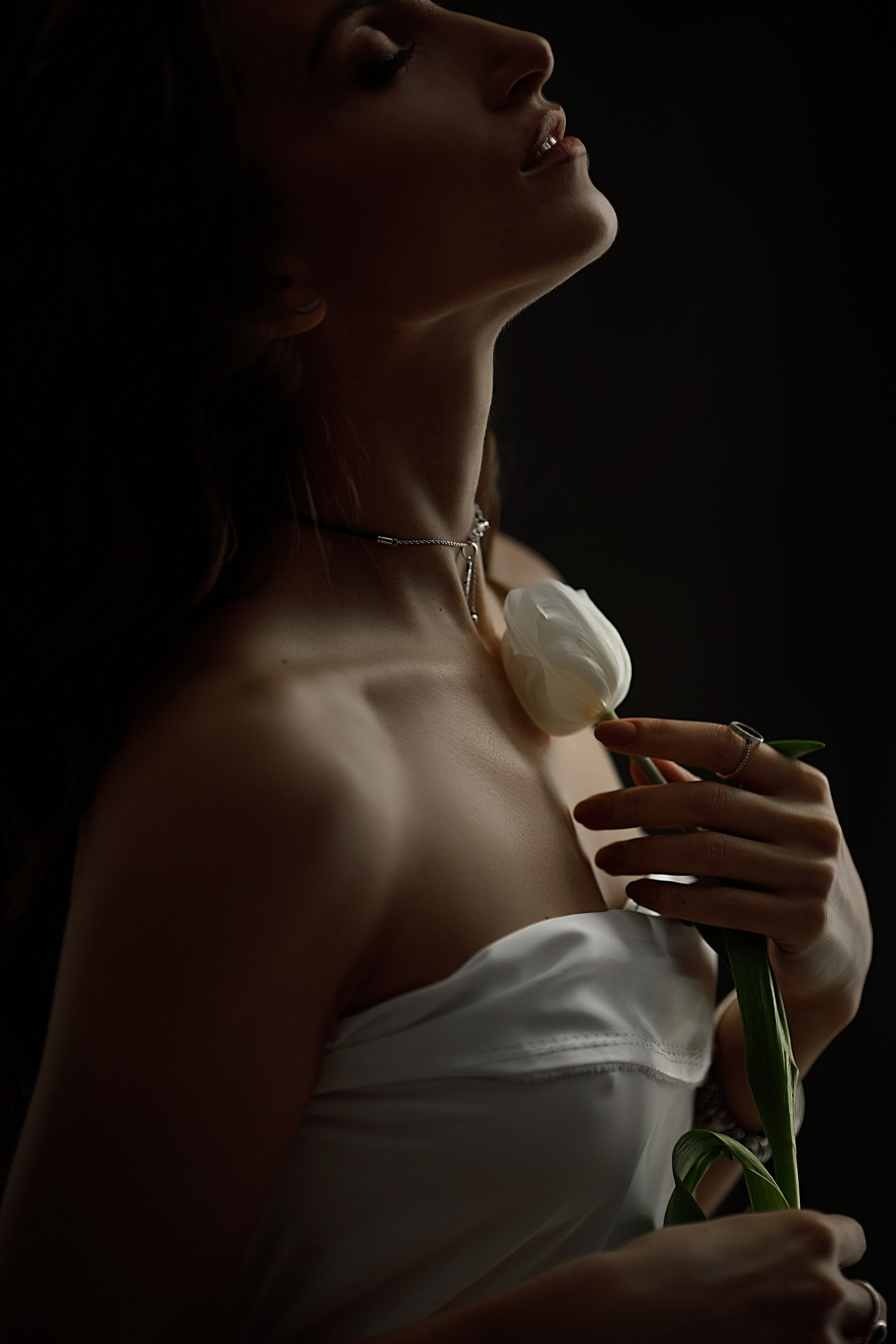 Portafolio de Fotografía Individual – Natasha Reev. Natasha Reev Fotógrafa de maternidad en Los Ángeles