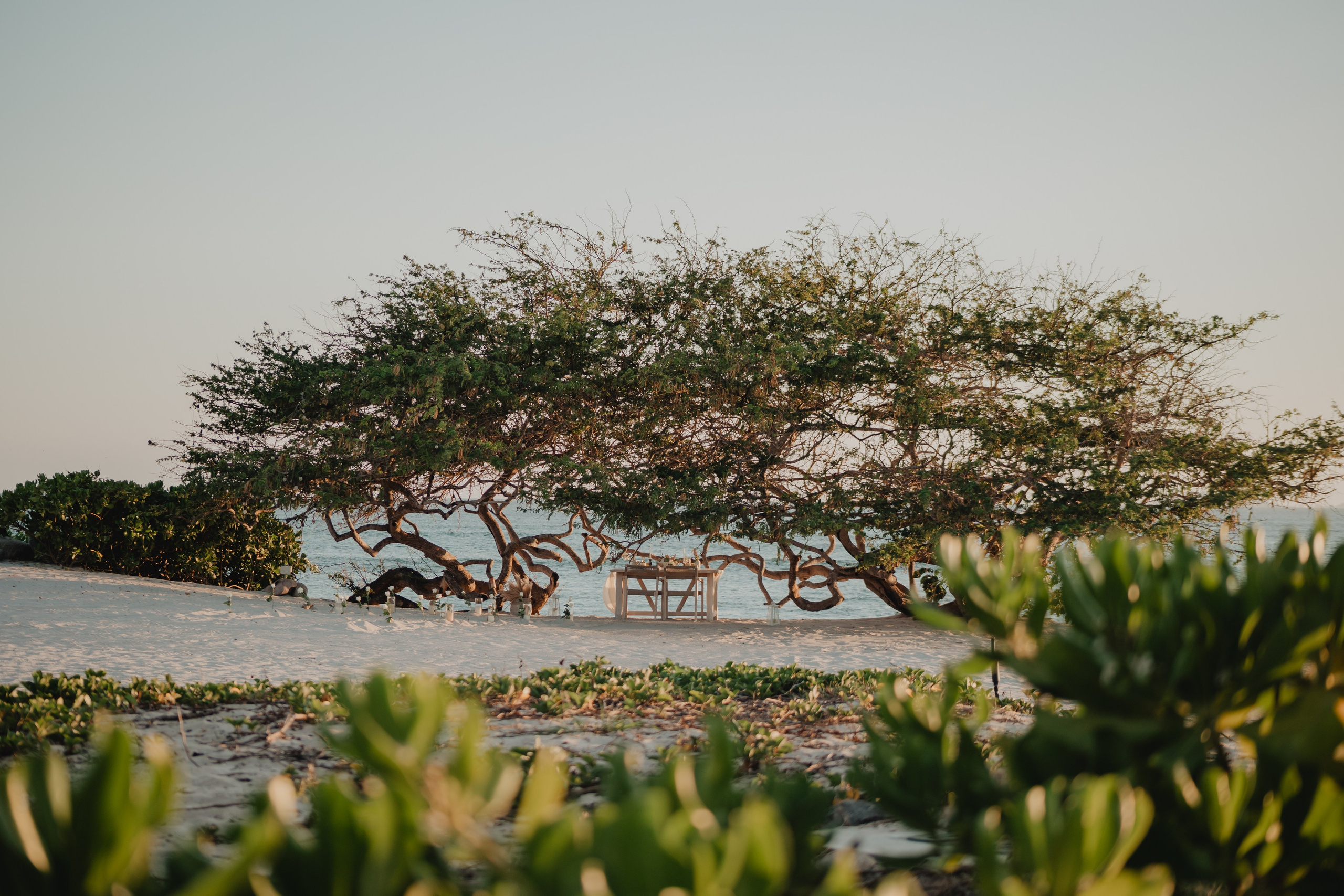 Punta Mita Engagement Session: Love Framed by the Pacific