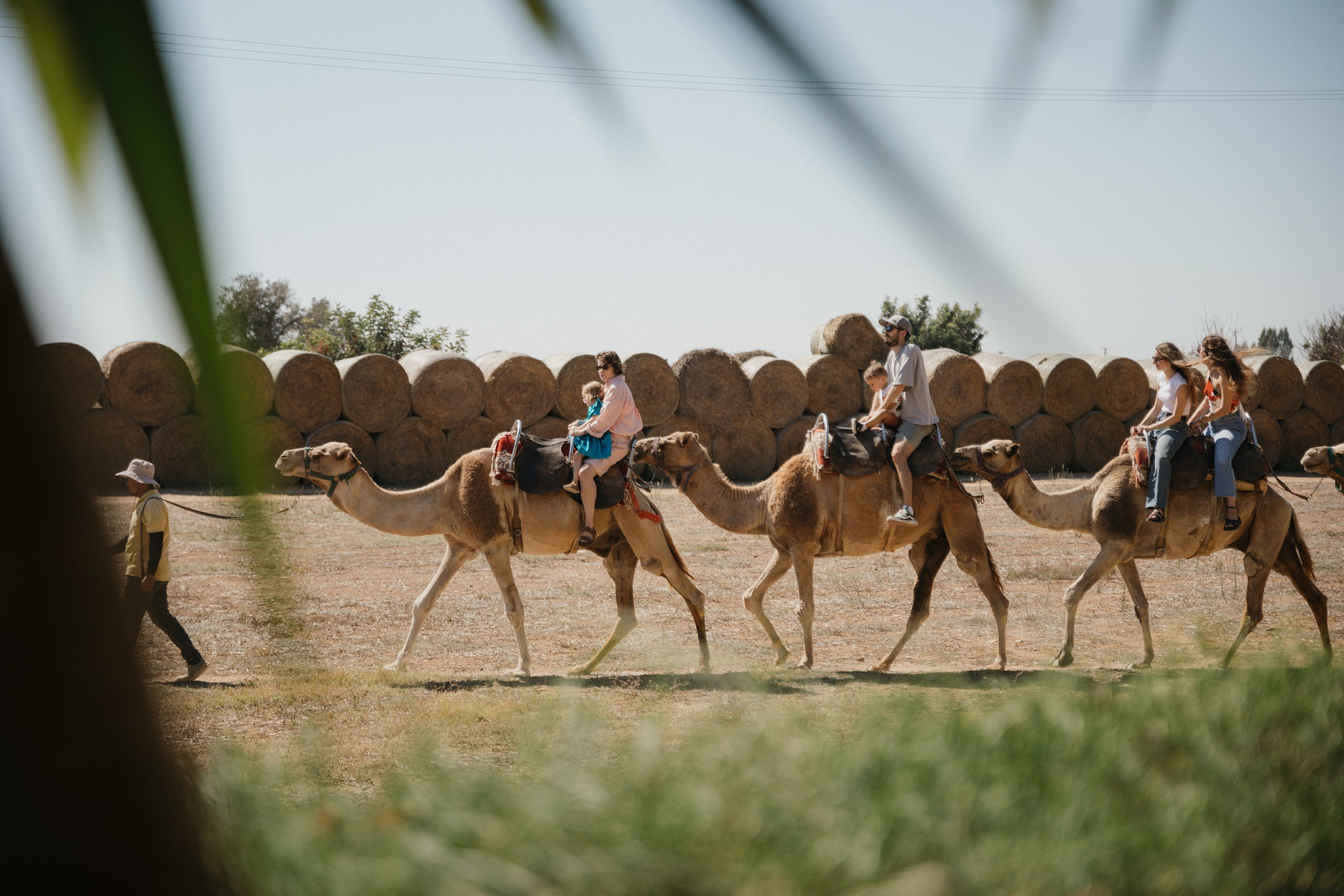 Joyful Moments in Camel park: Olya and Ada’s Day of Fun and Adventure, sliding and riding camels. Photographer in Barcelona capturing unique stories | Kate Chumak