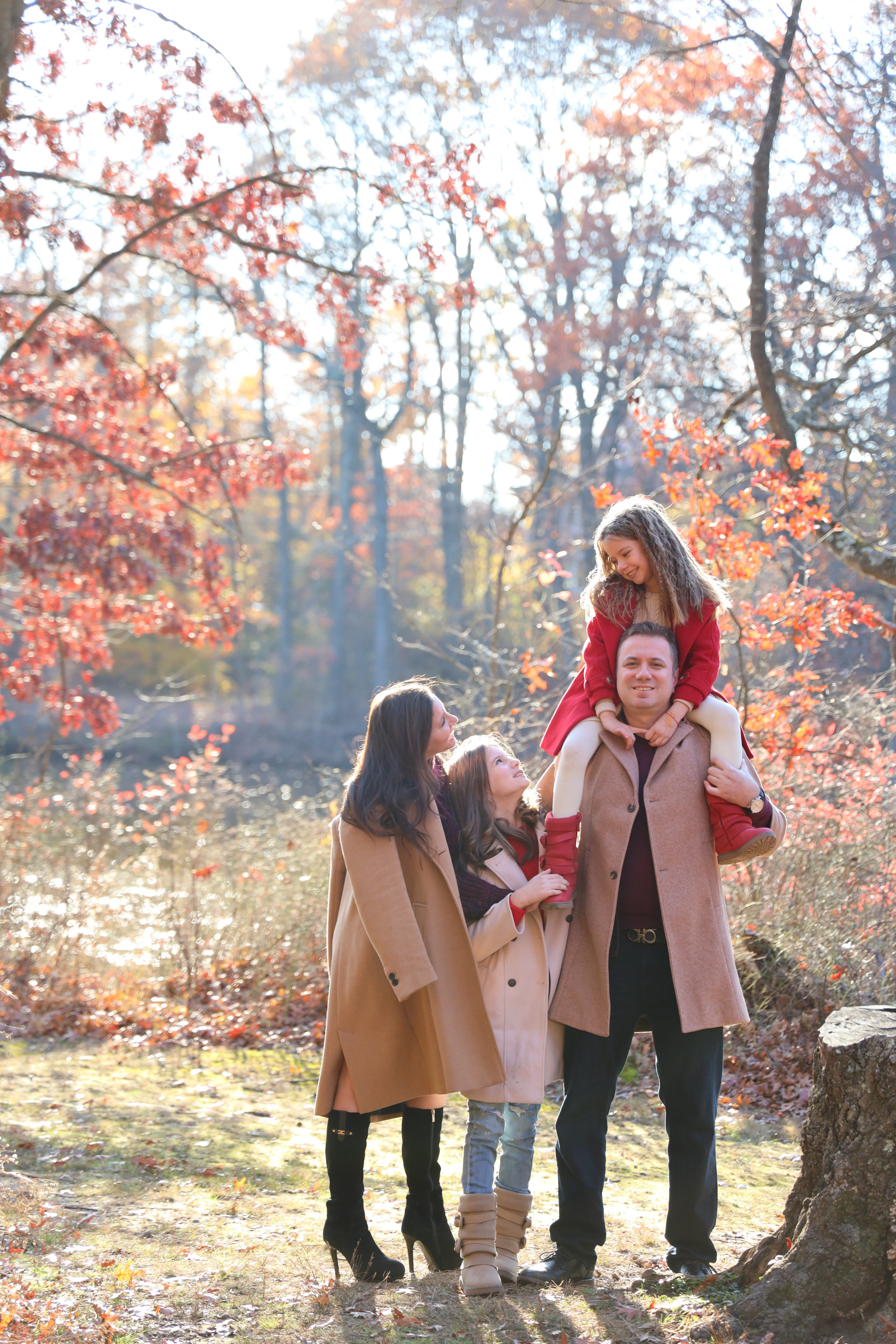 Alisa Kogan Photography — Families, Love Stories & Events in New York
