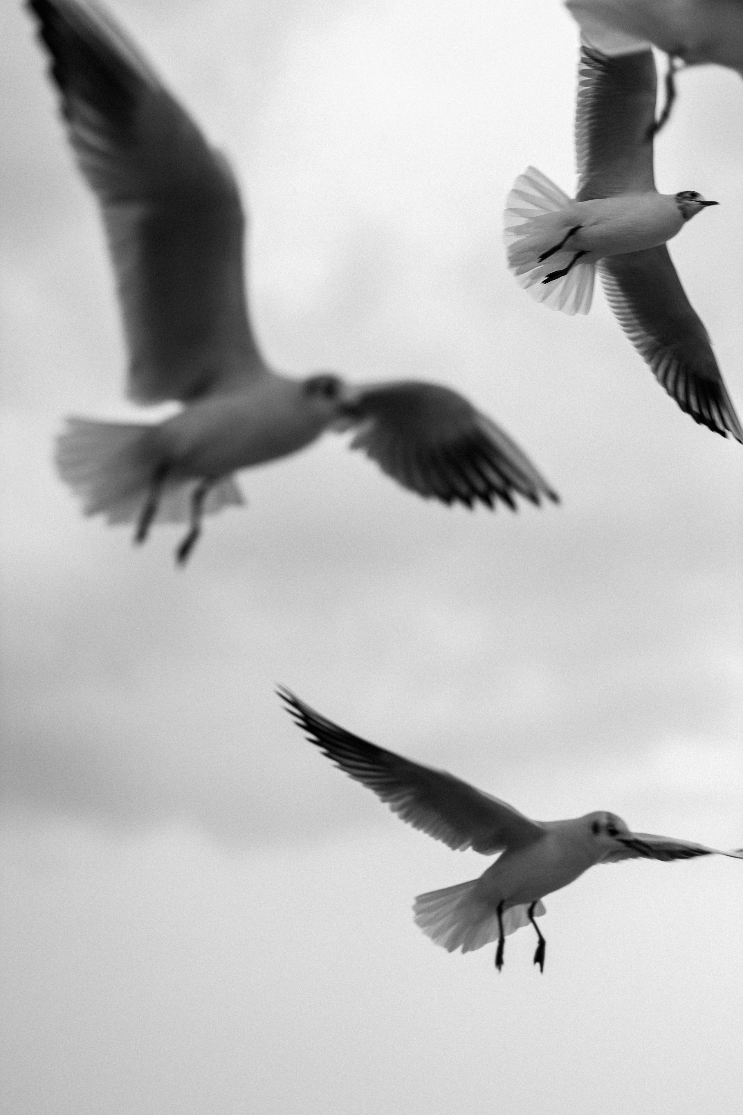 Стамбул. Фотопрогулки в Стамбуле