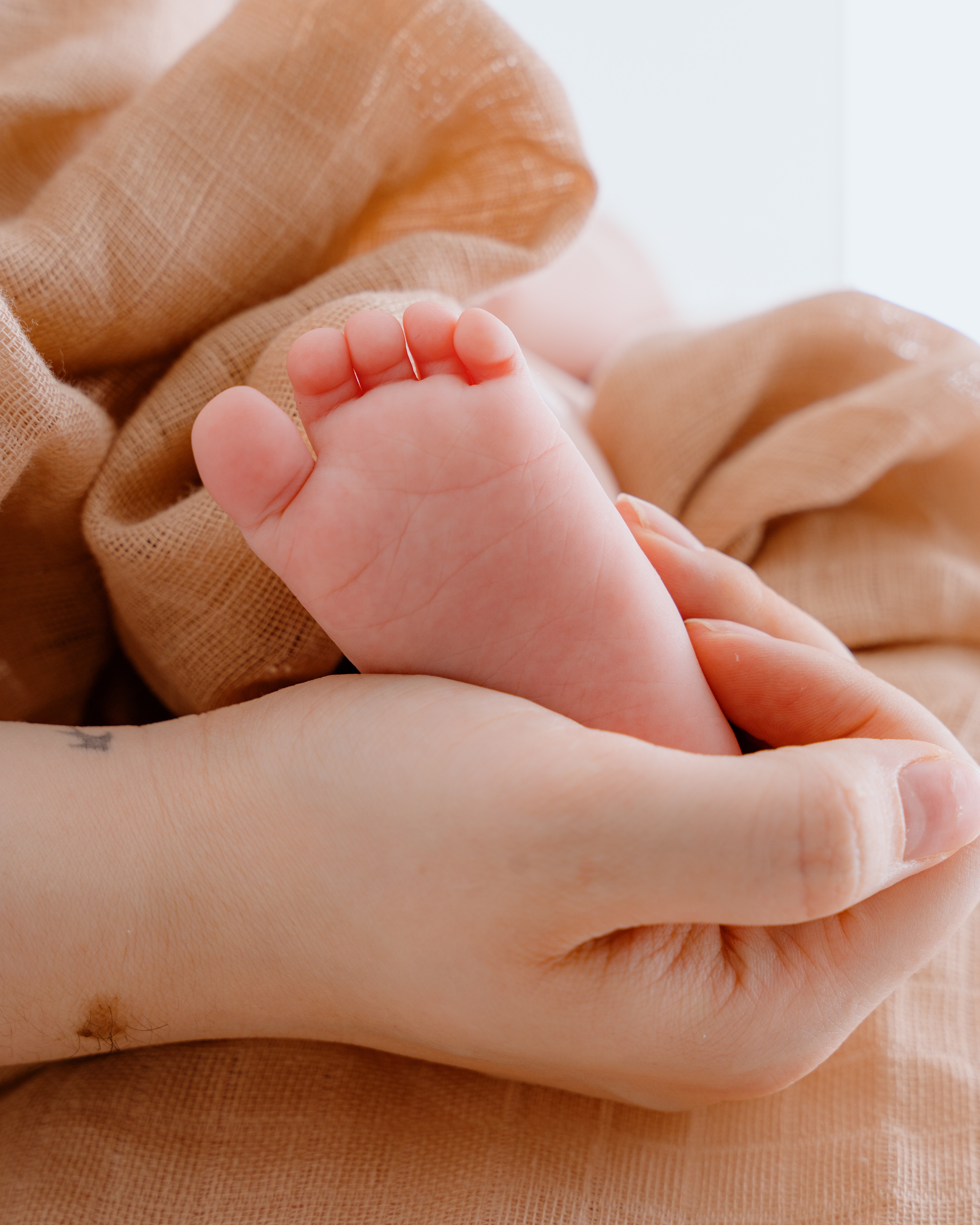 David, 3 Monate alt. Fotografin in Bad Hersfeld