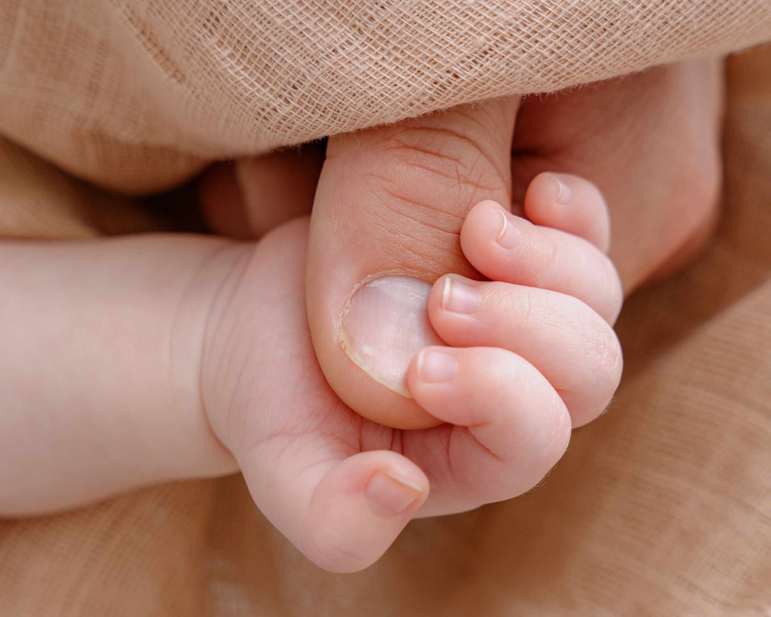 David, 3 Monate alt. Fotografin in Bad Hersfeld