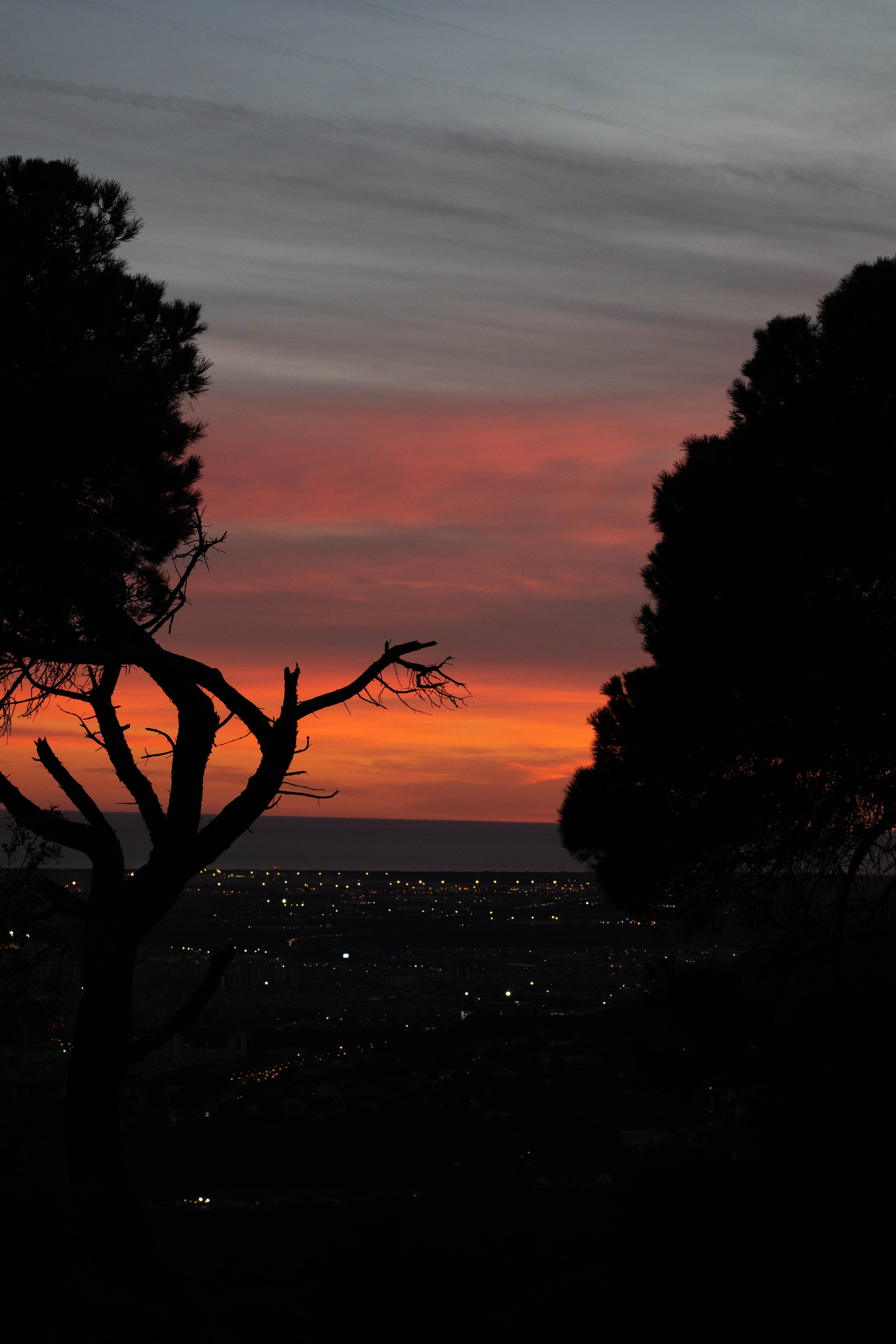 Алина, Tibidabo. Главная