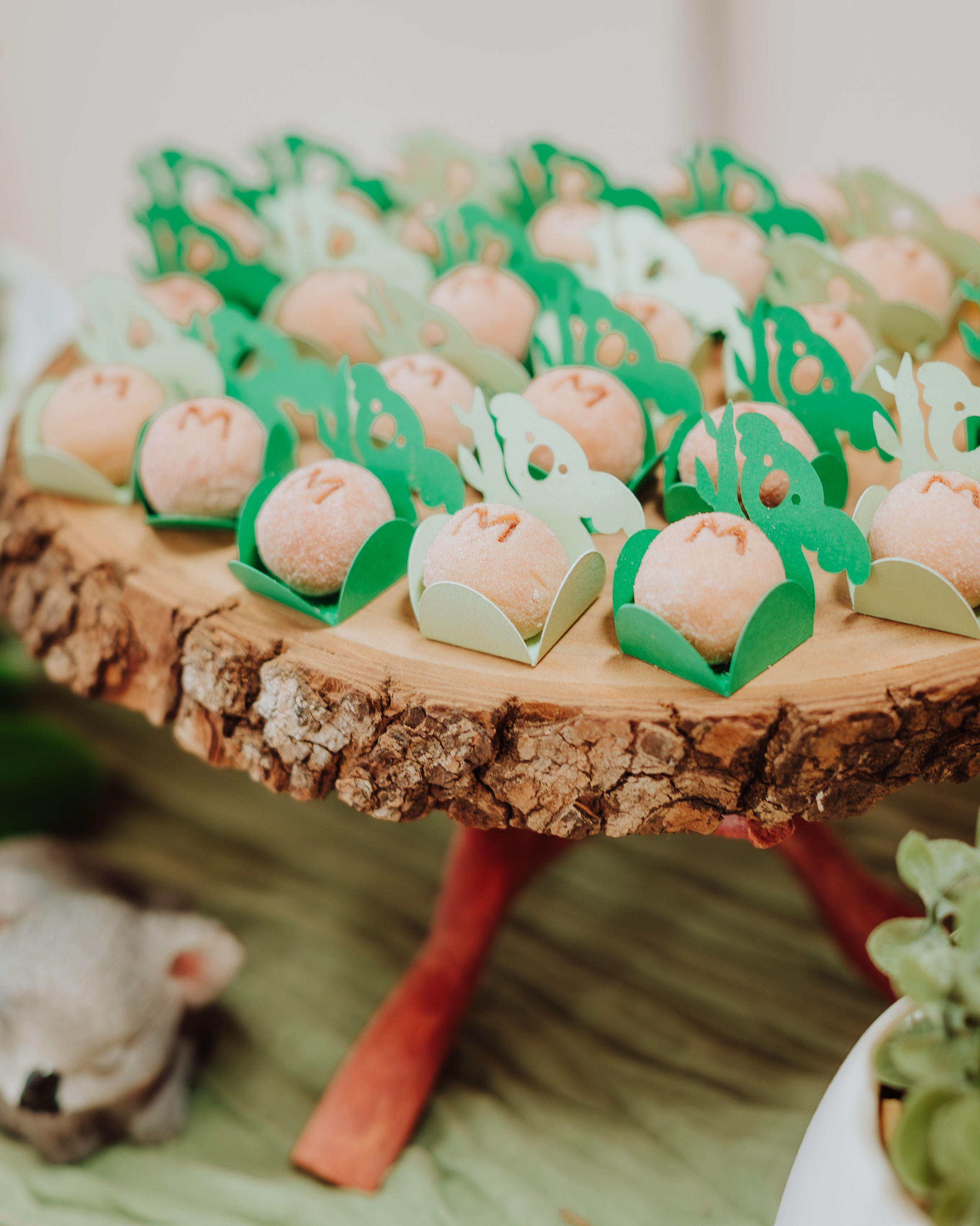 Celebrate Birthday -Mateo. JS Photoshoot | Family, Events & Pet Photographer in Brisbane
