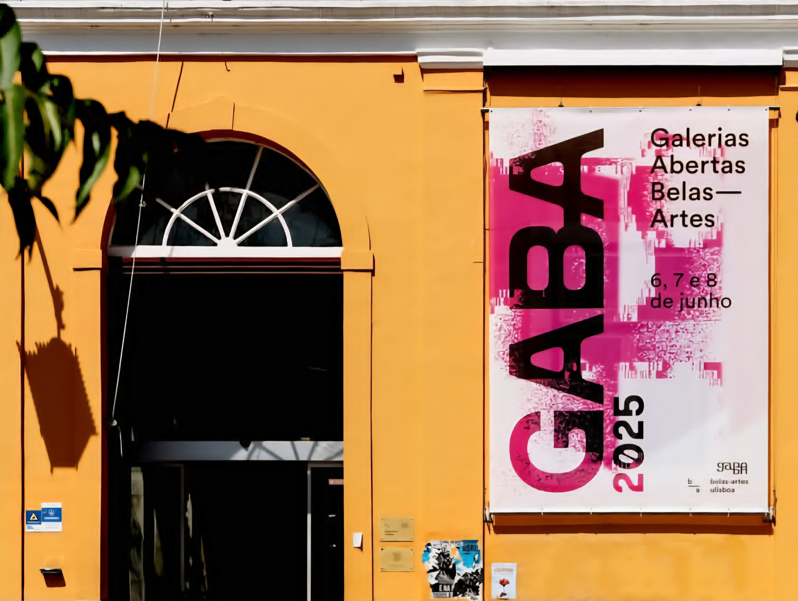 NEWS. Barbara Cabral