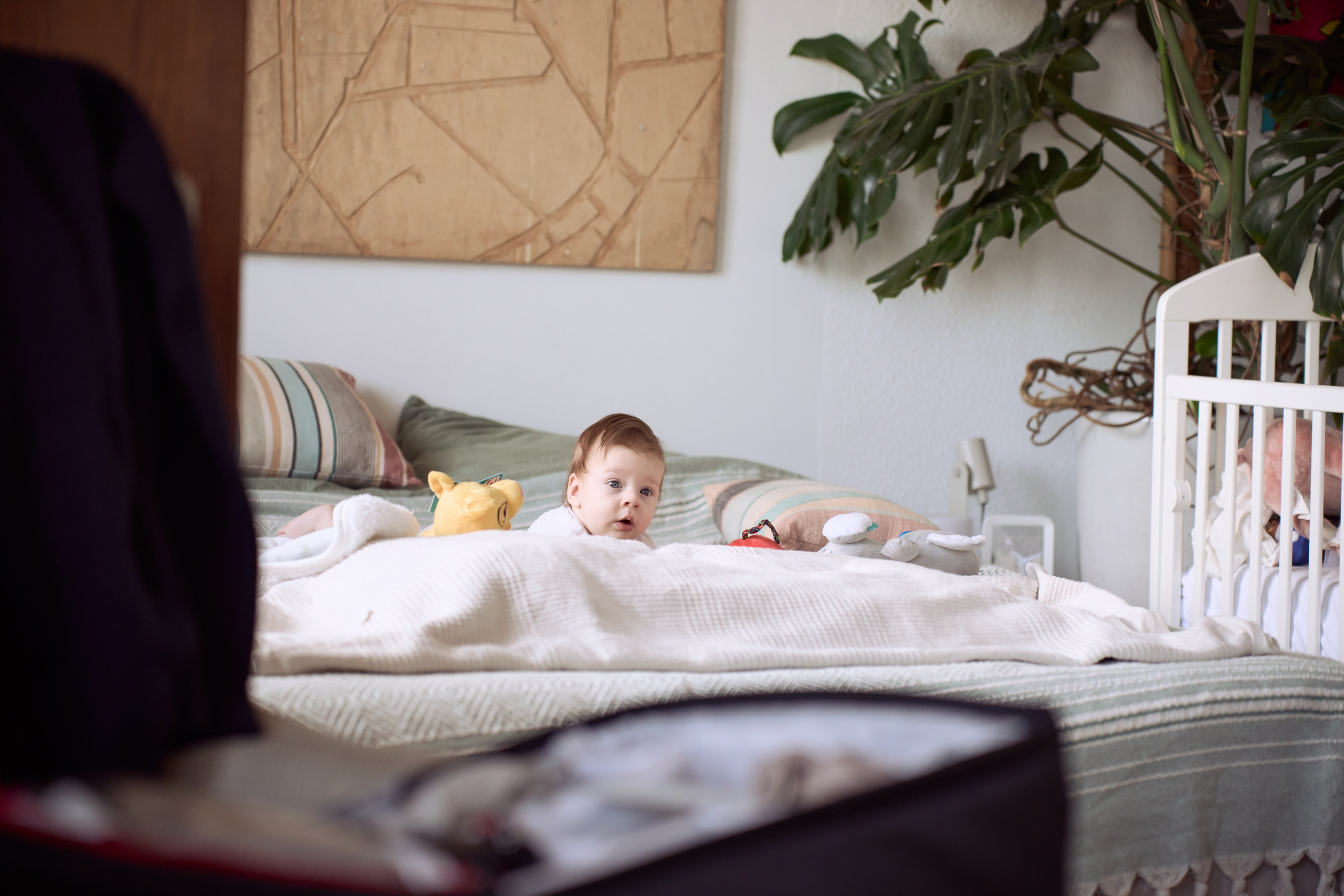 Jelena i Petar. Marko Superio | Wedding & Portrait Photographer