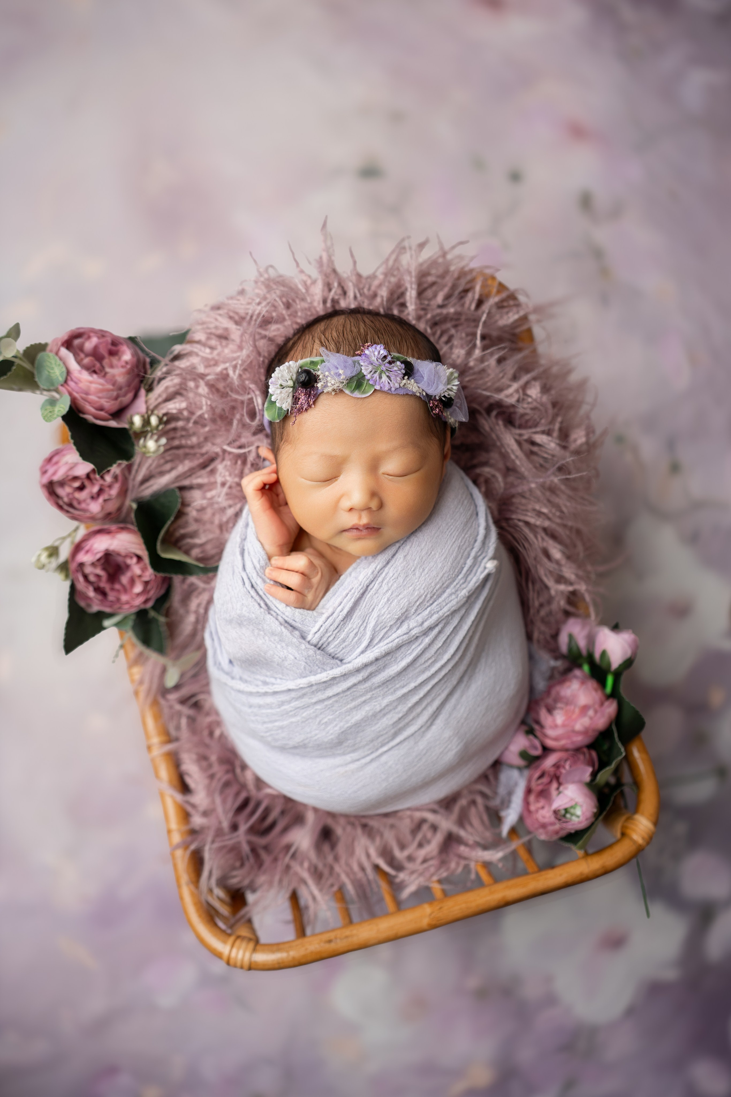 Posed Newborn. Maternity, family and newborn photography in San Francisco Bay Area