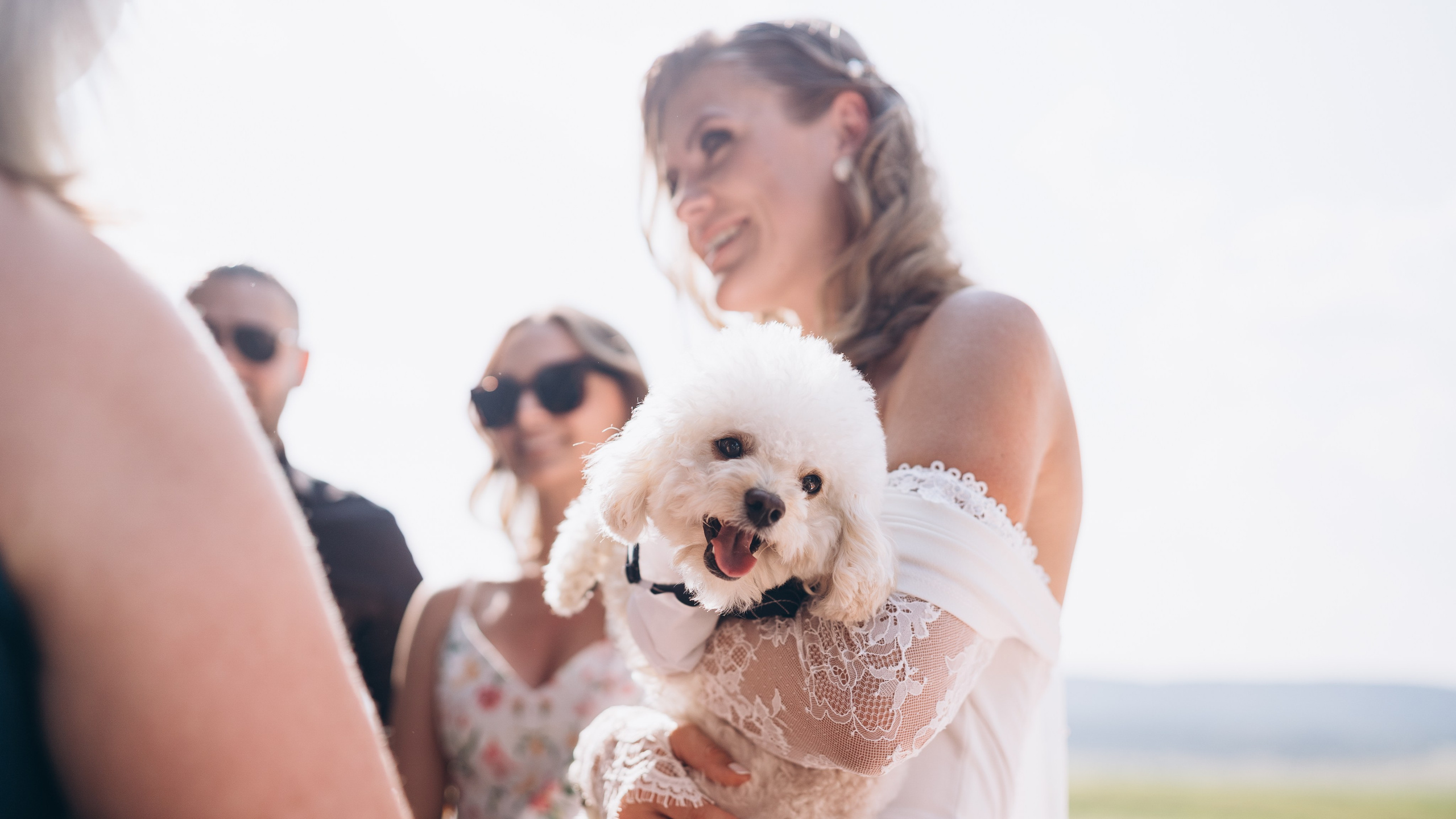 Weronica & Tomasz. Calgary Wedding & Lifestyle Photographer — Yevhen Polishchuk