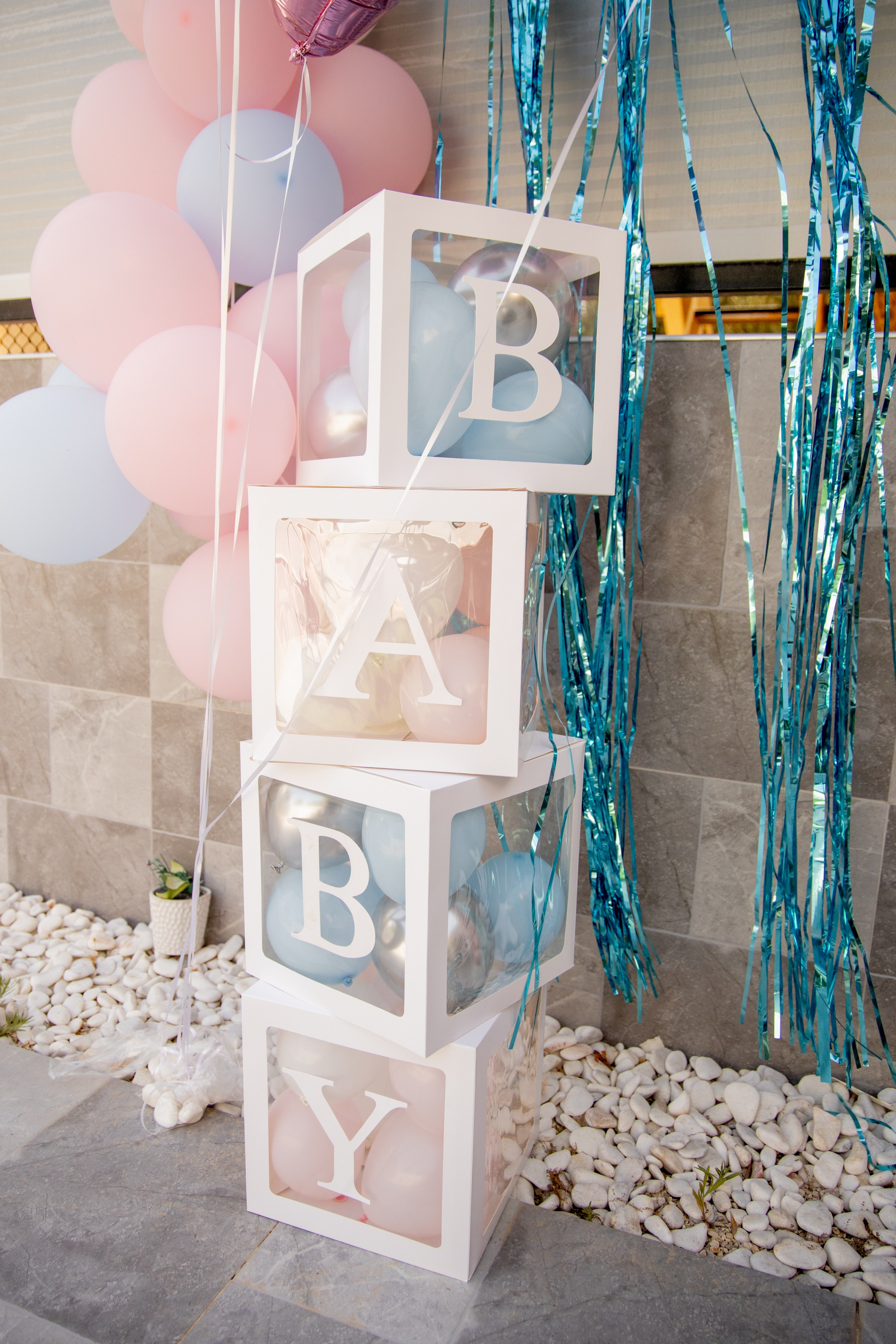 Gender Party for Alina and Michael. Home