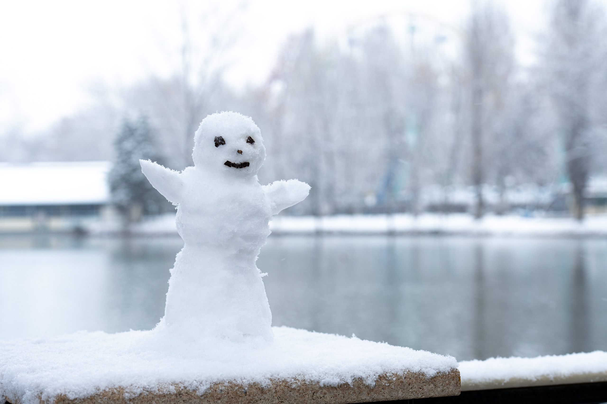 Первый снег в 2024 году. Георгий Намазов | Фотограф в Ташкенте