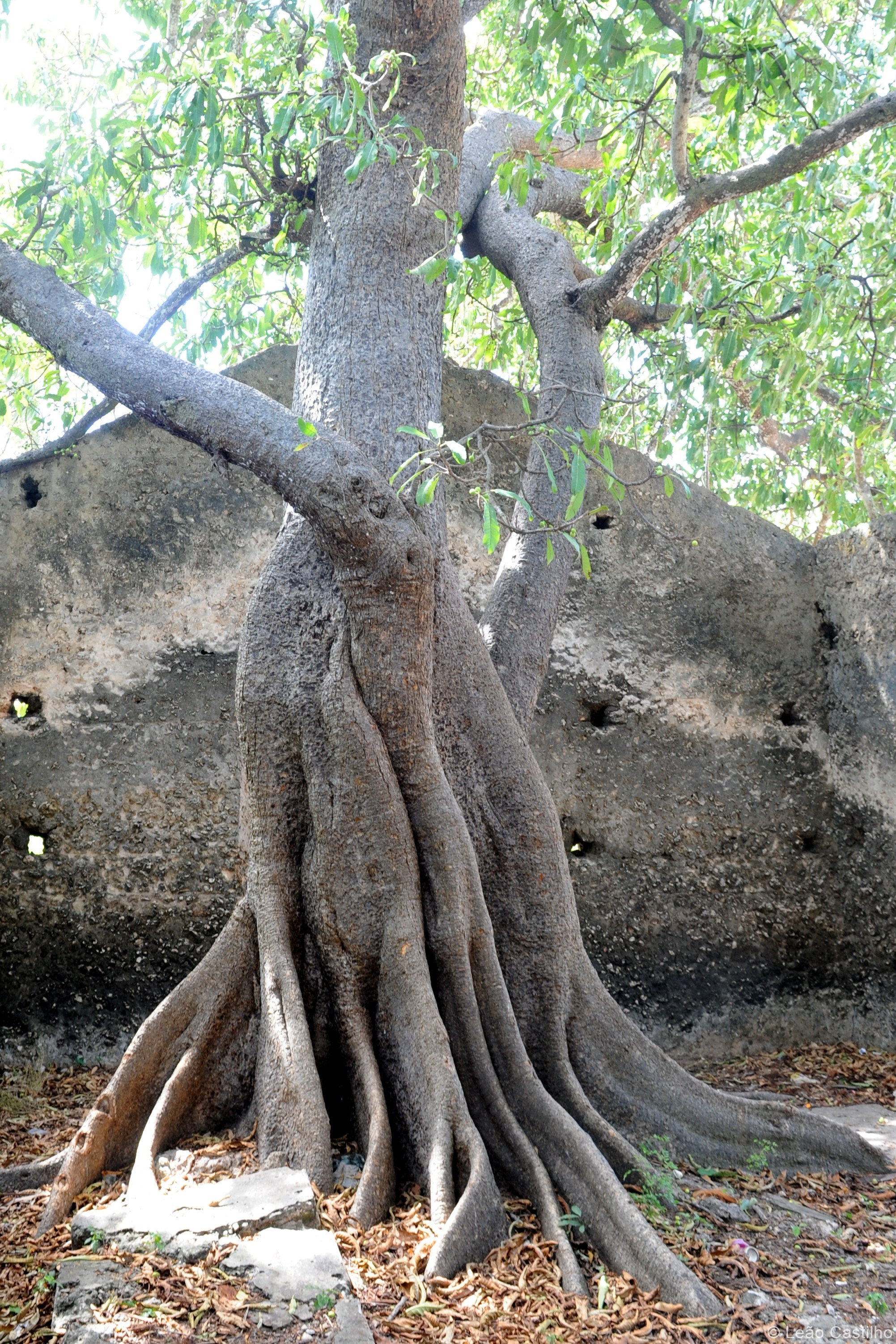 Photos from Mozambique. Simbahalu