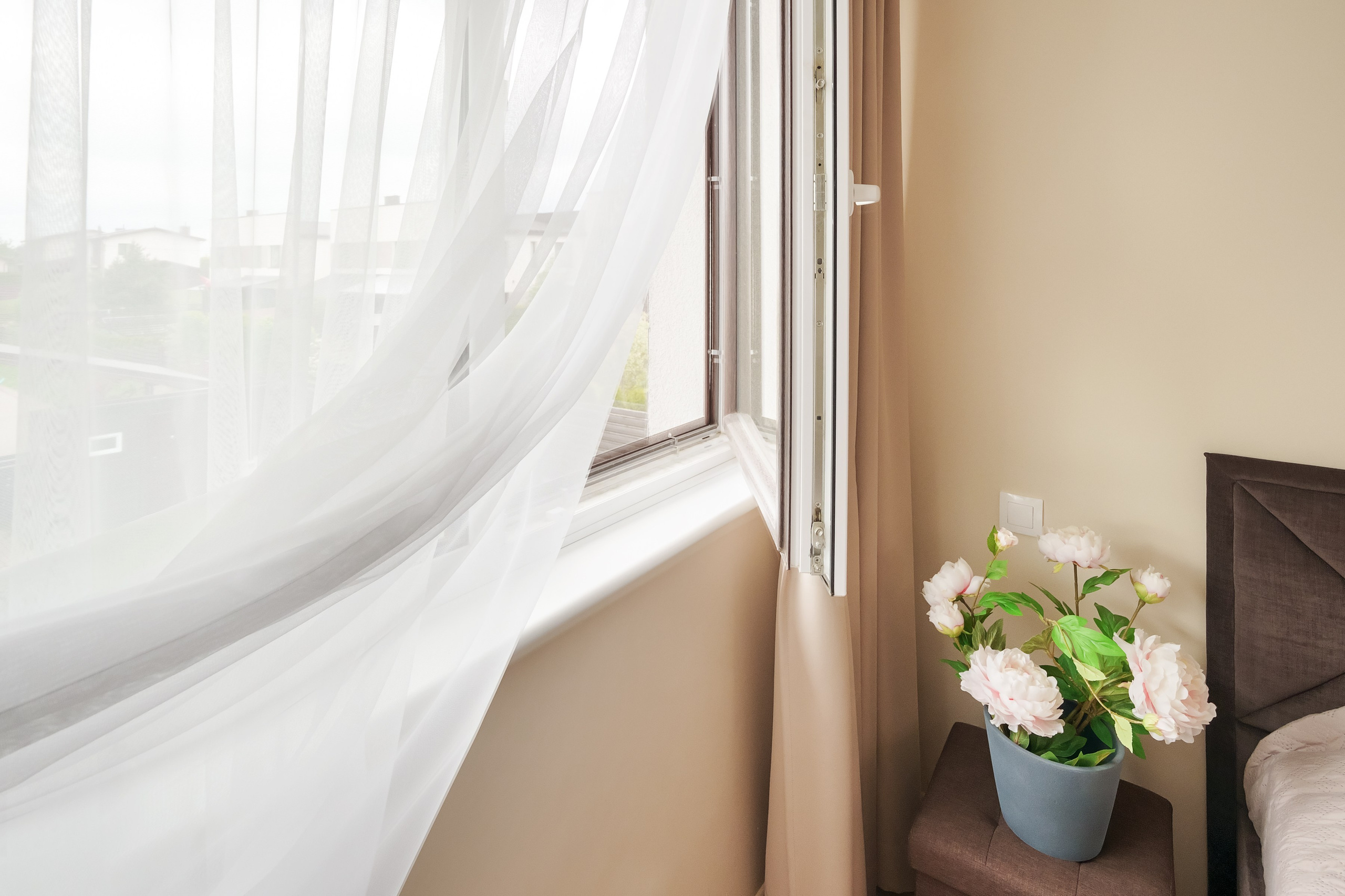 Tarandė. Elina Sapiega fotografė Vilniuje