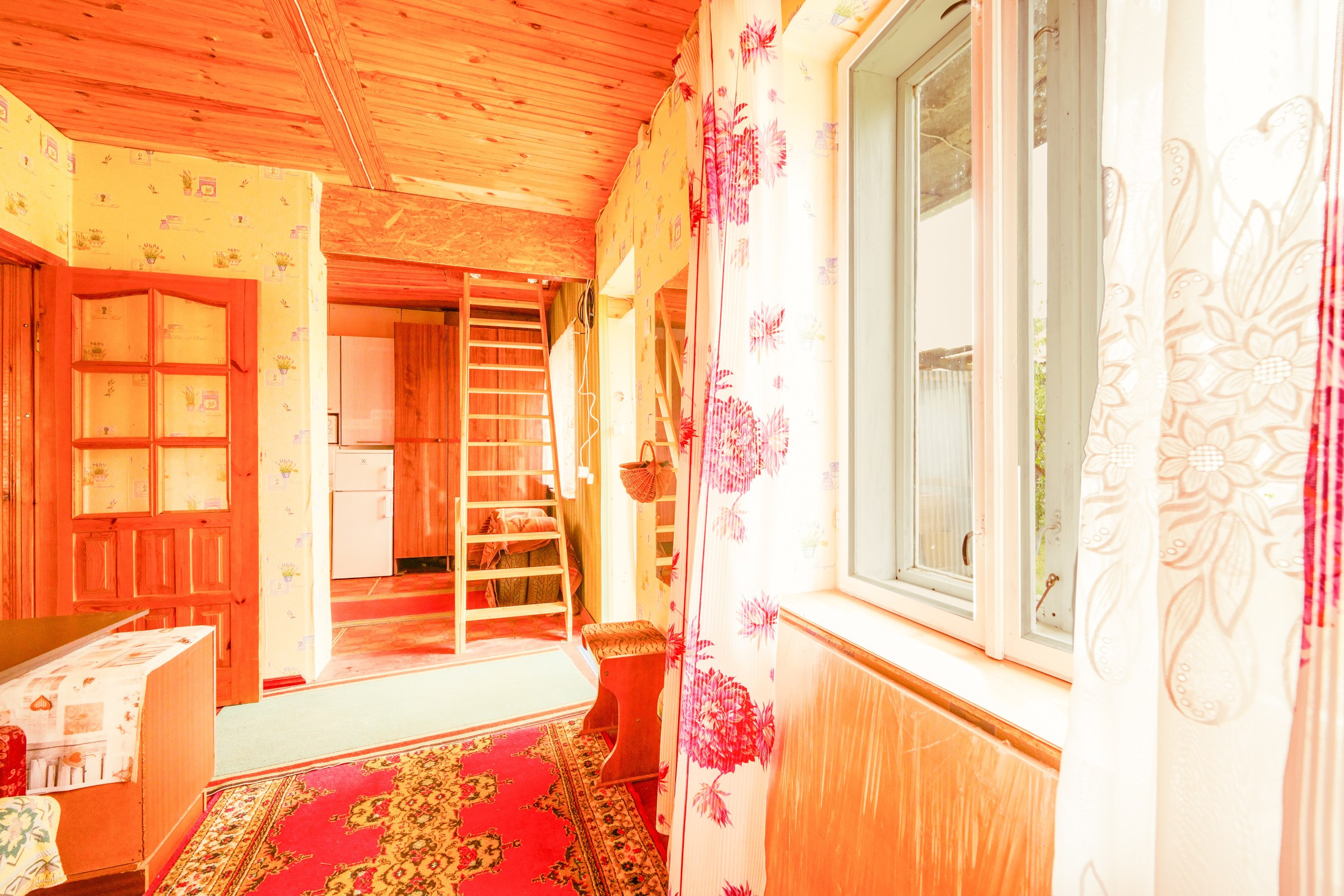 Pupojų sodų 3-oji. Elina Sapiega fotografė Vilniuje