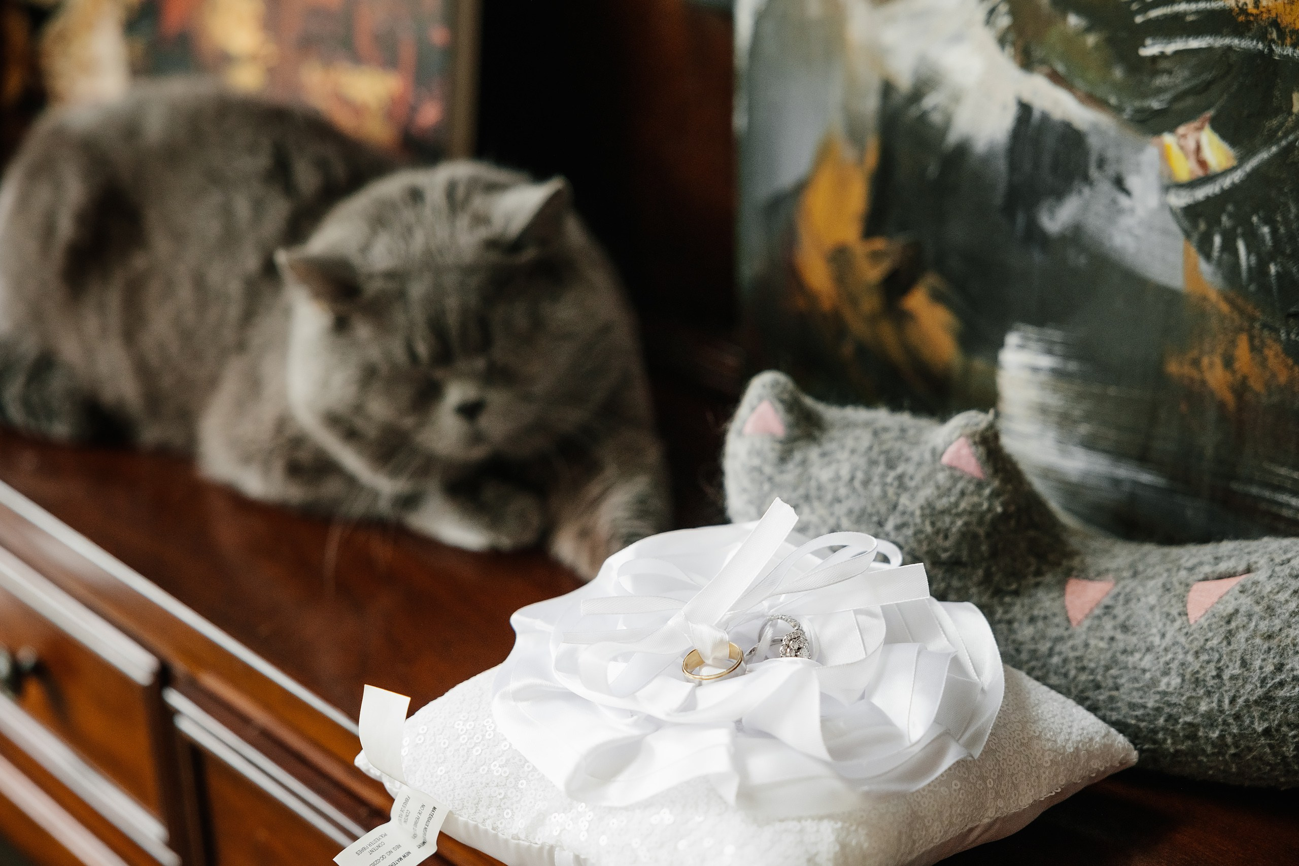 08.06.2024 Wedding. Wedding family event photographer in Chicago Nick Yushevich