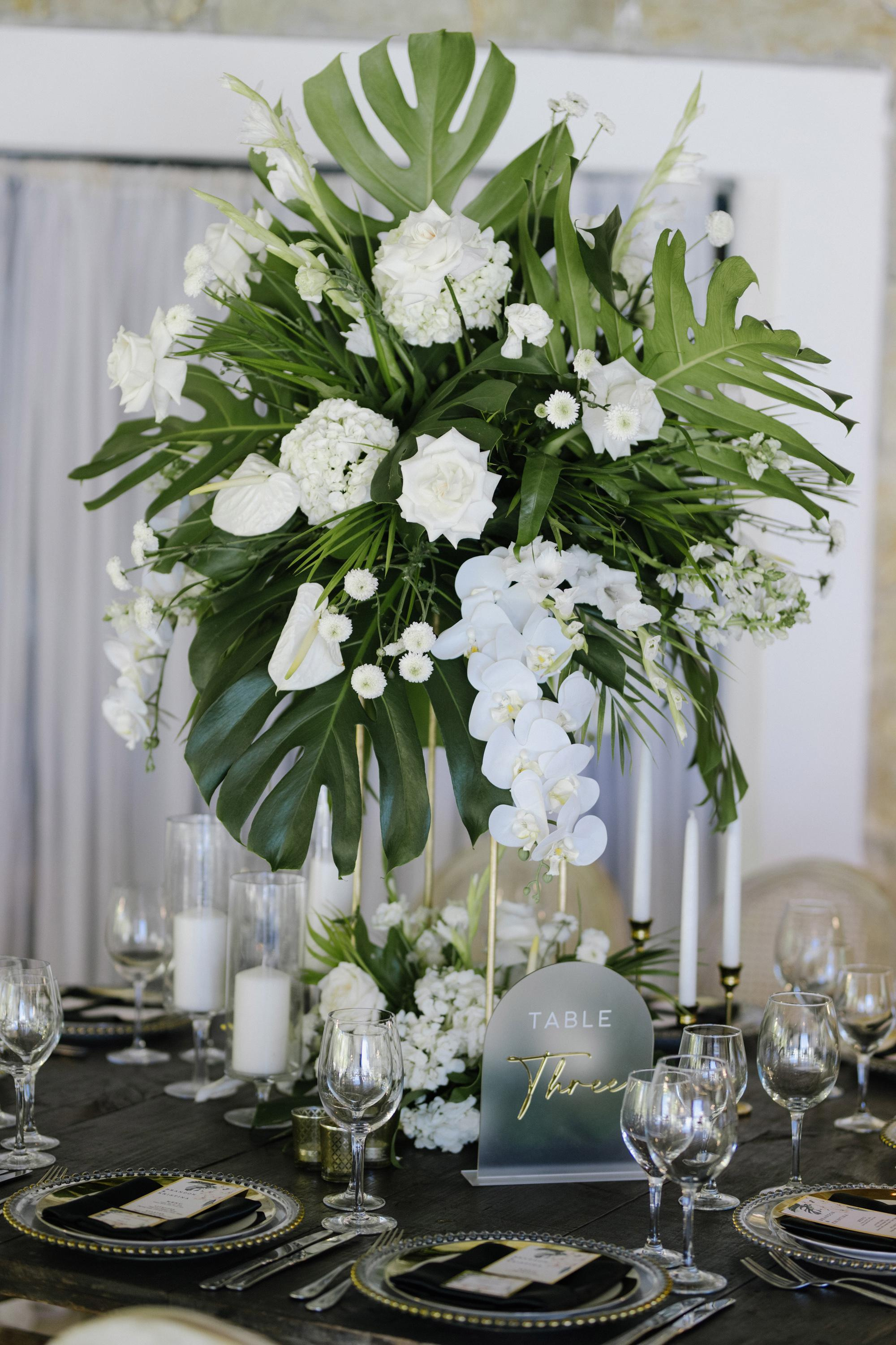 Kristina and Brandon. Kukua