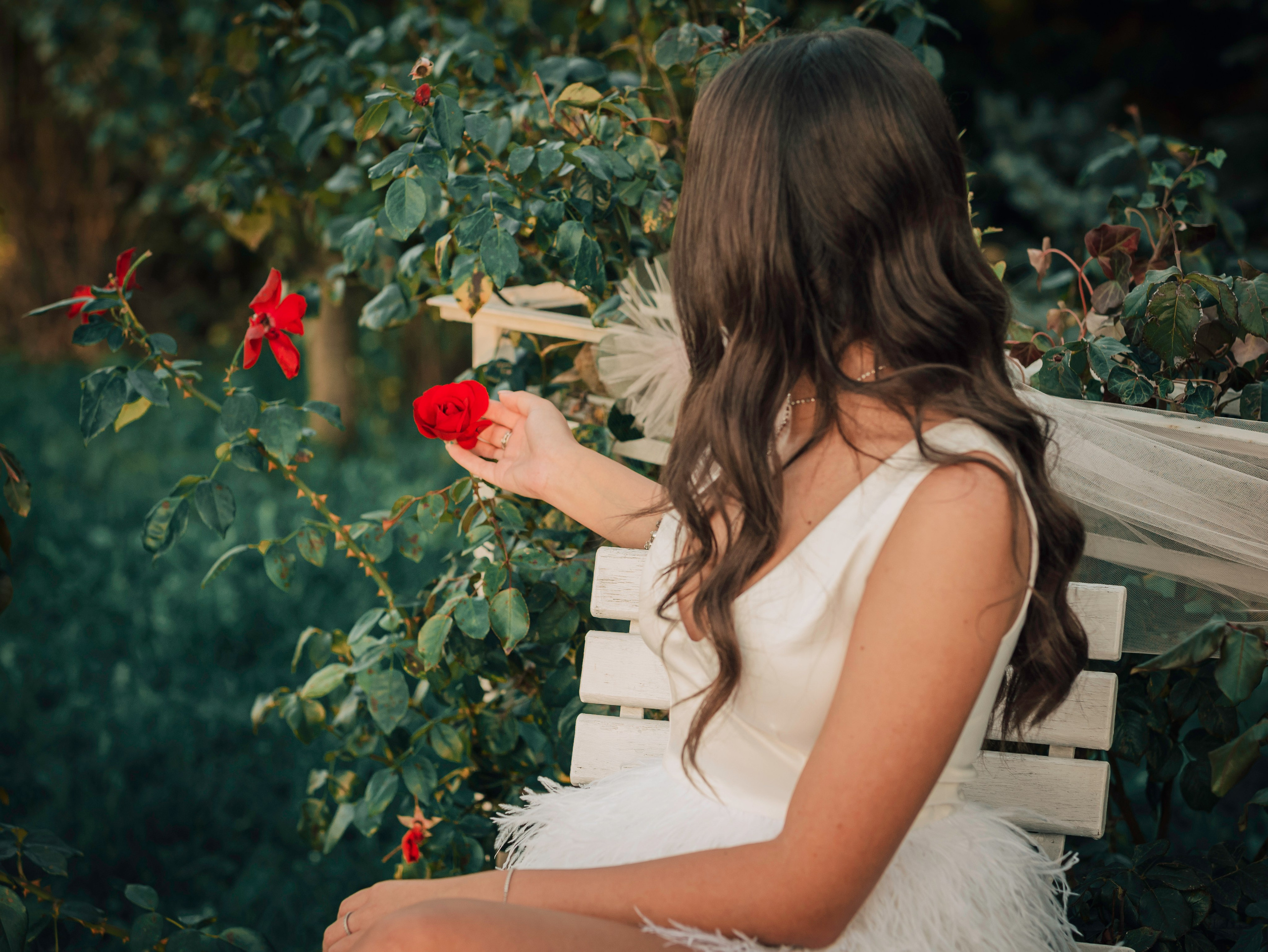 Crista. Dragosbaciuartphotographer