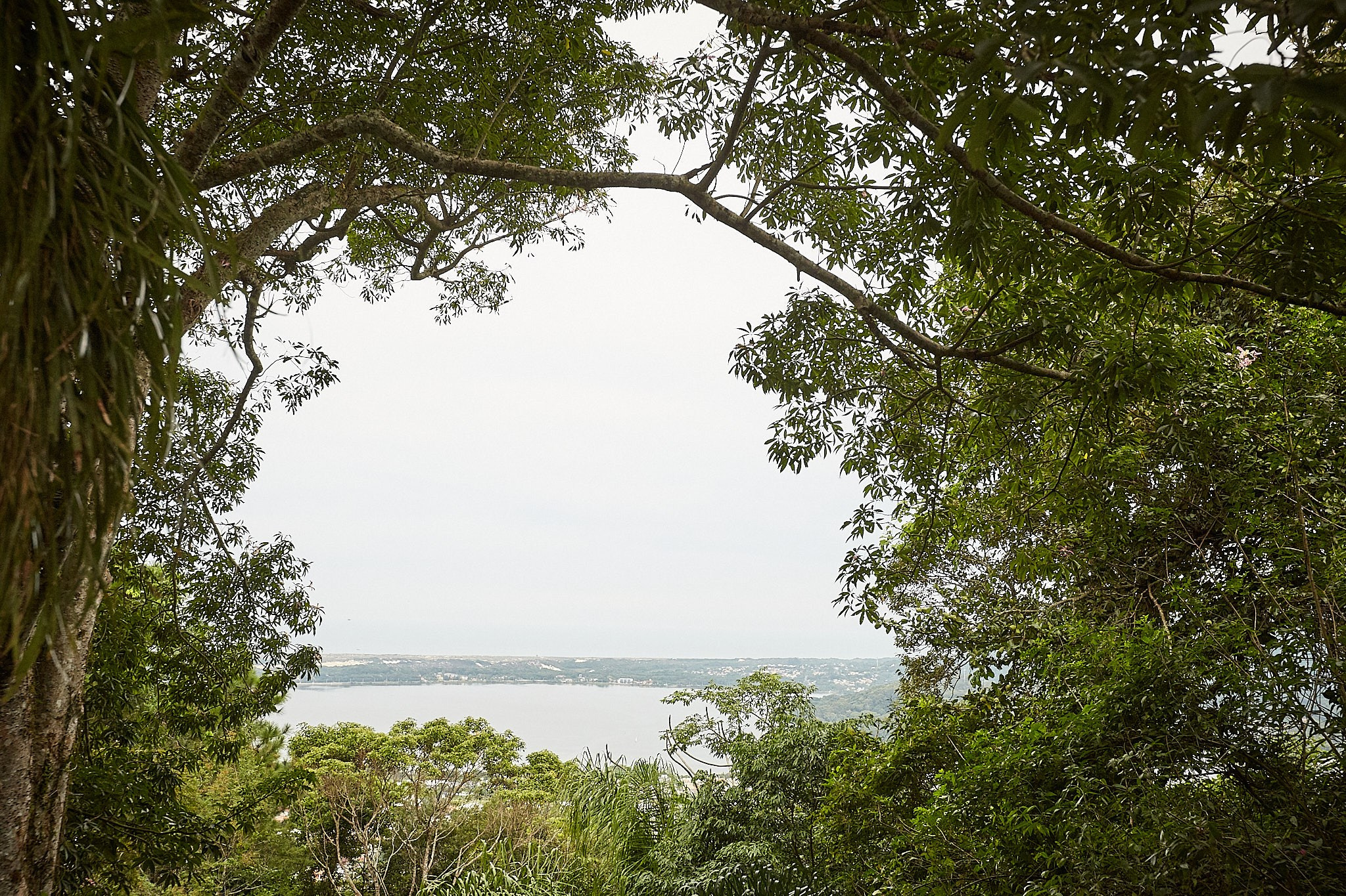 Casamento Fernanda e Paulo. Fotógrafo de casamentos em Florianópolis