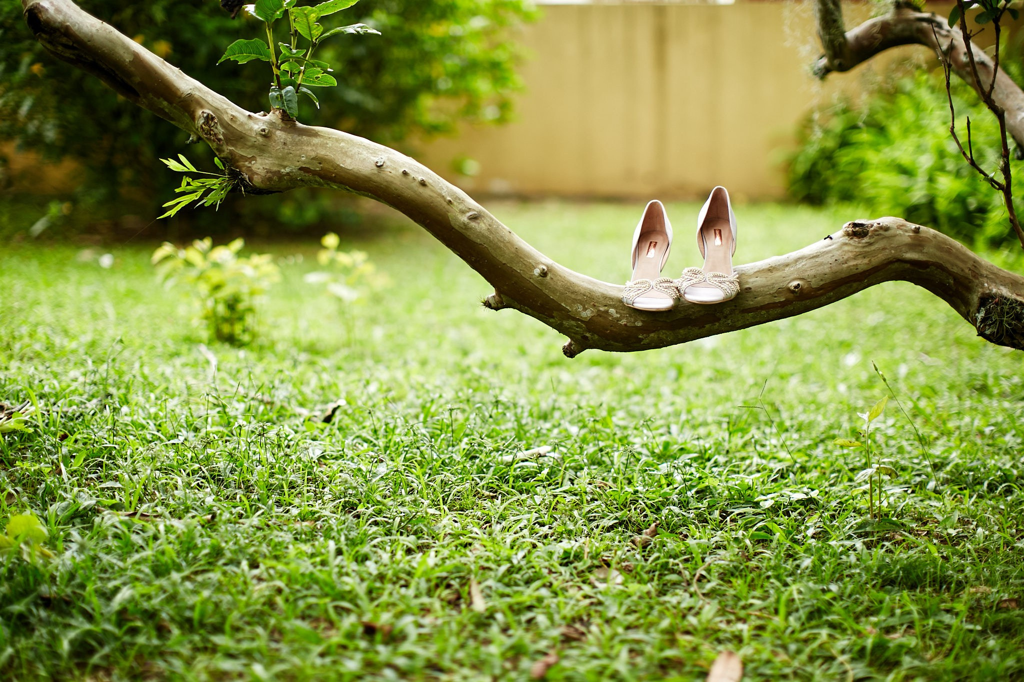 Casamento Letícia e Rodrigo. Fotógrafo de casamentos em Florianópolis
