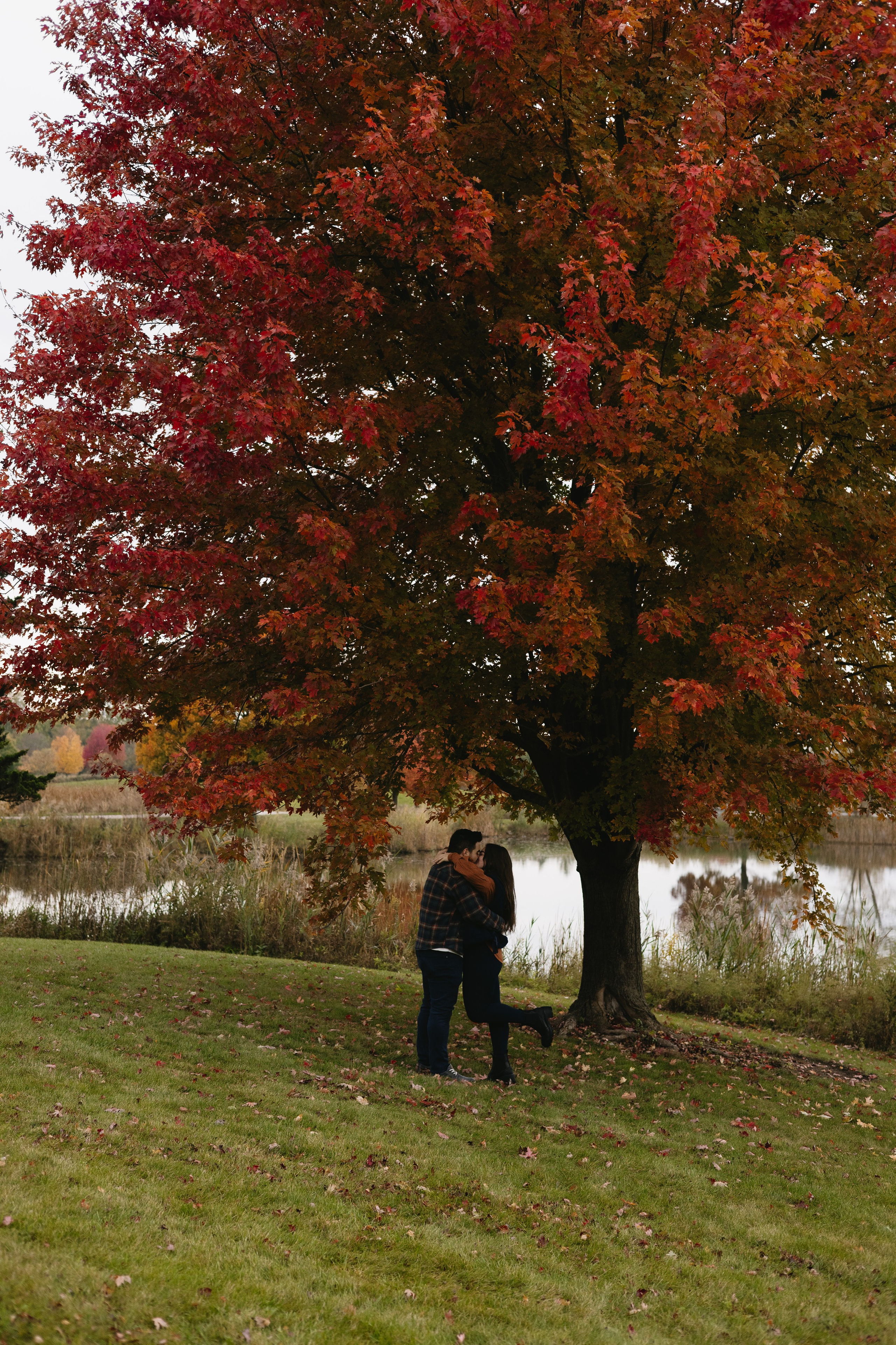 Independence Grove Park Proposal — Illinois Photographer — Margarita Stepanenko
