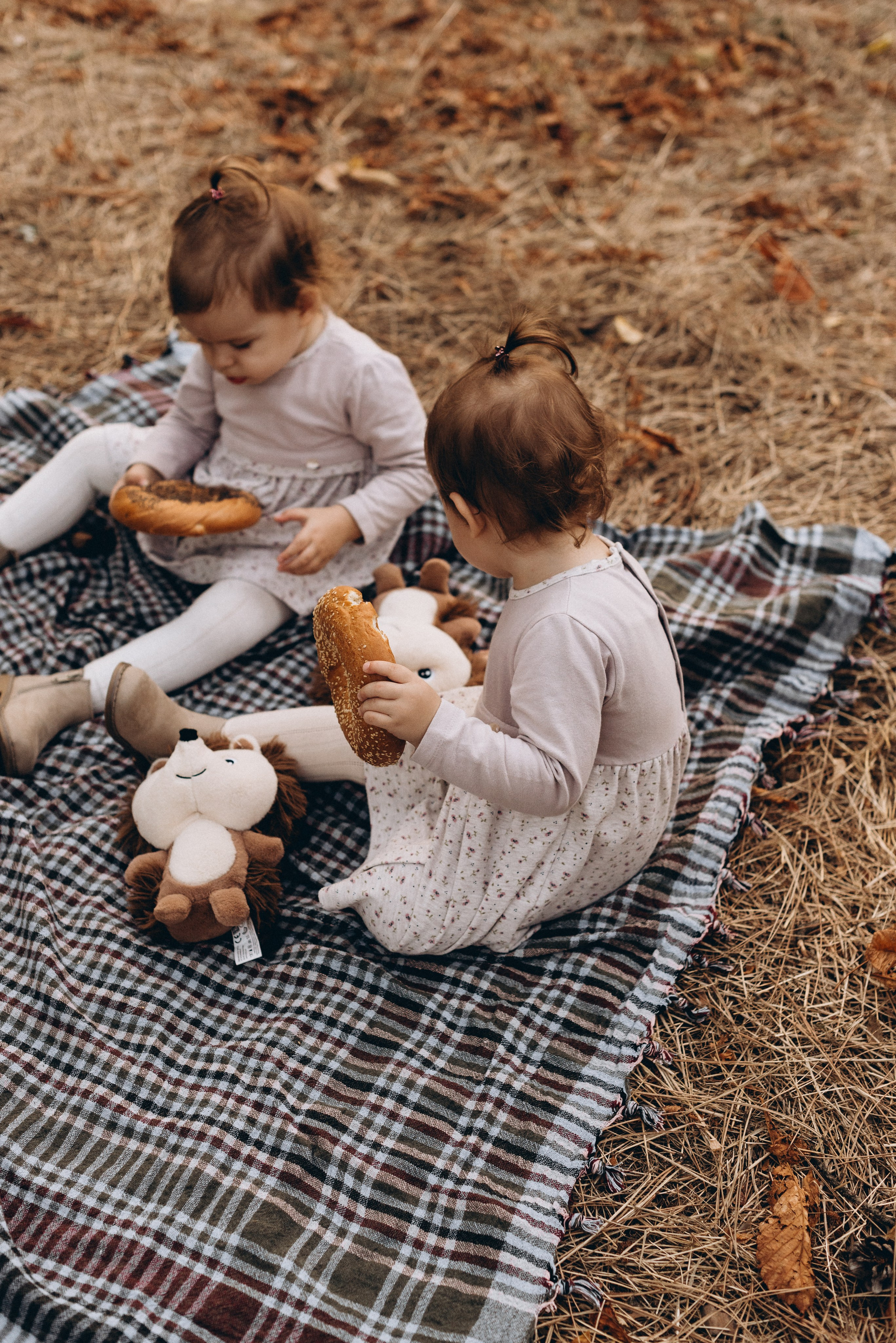 *. Wedding and family photographer San Diego