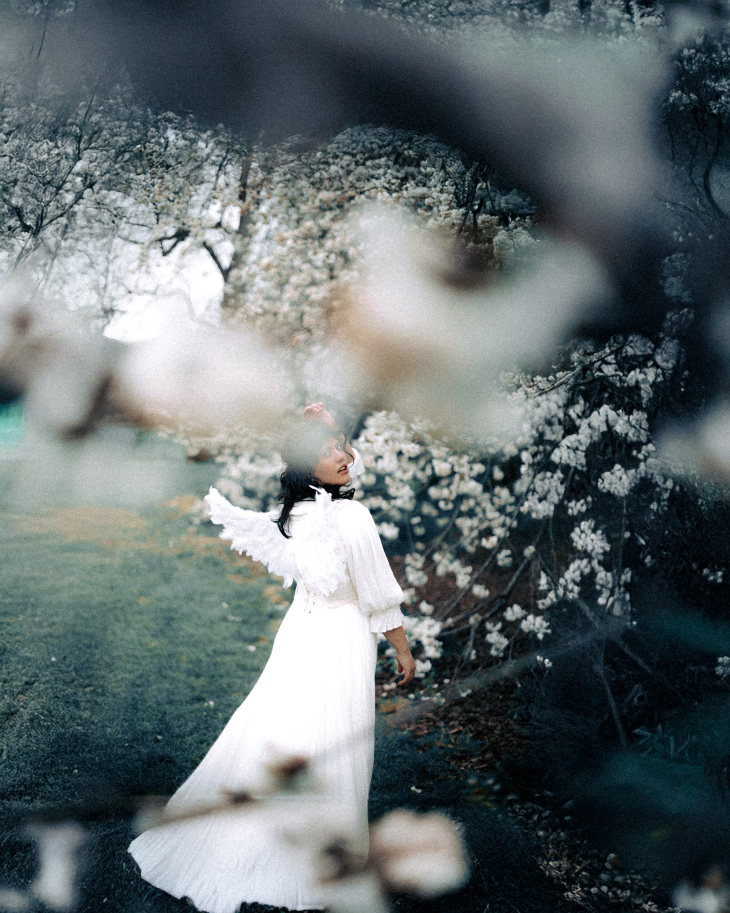 Moth & Moss Photography
