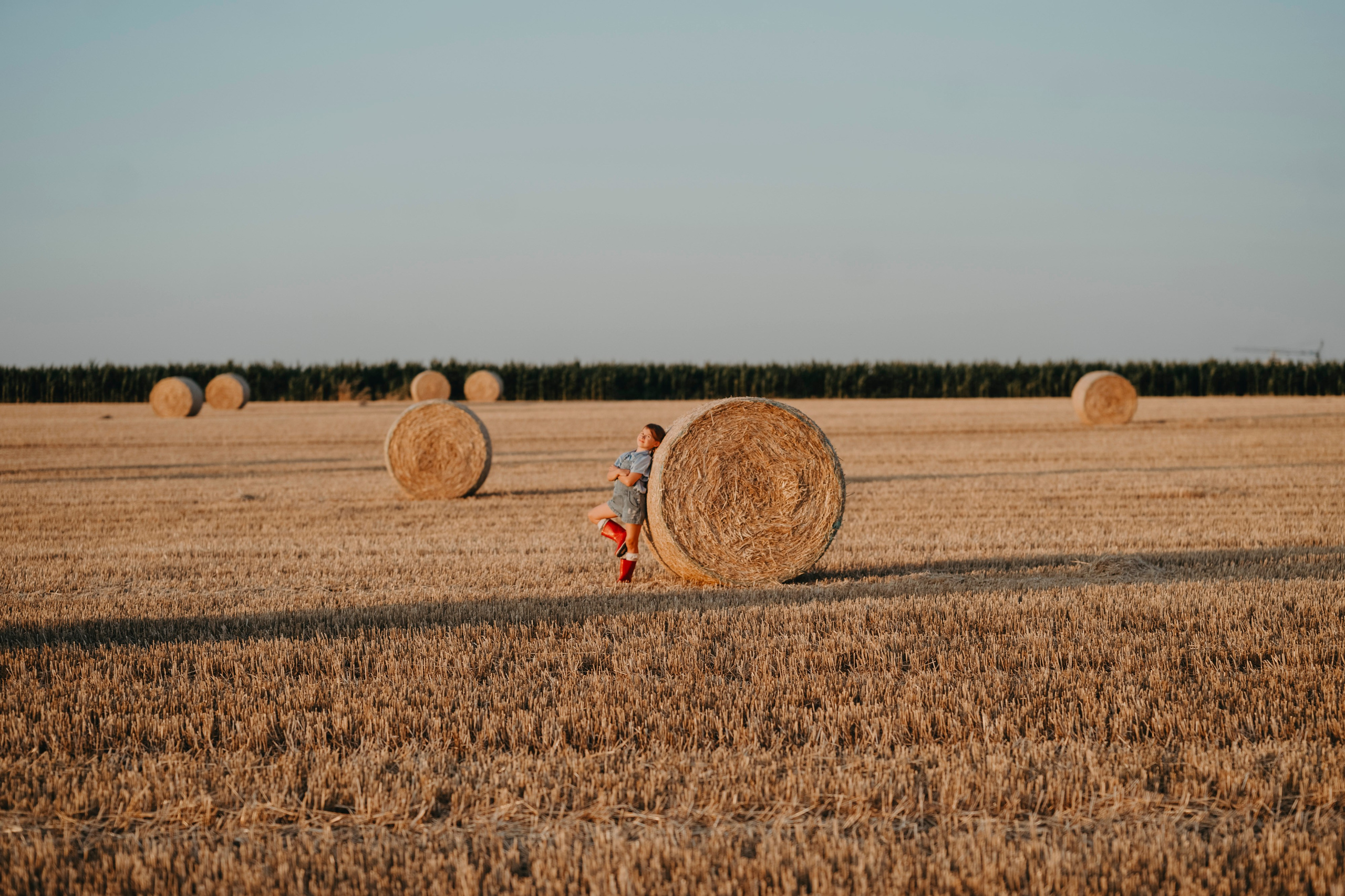 Letnje fotografisanje u polju suncokreta i sena. Deciji i porodicni fotograf u Beogradu Oksana Skendzic