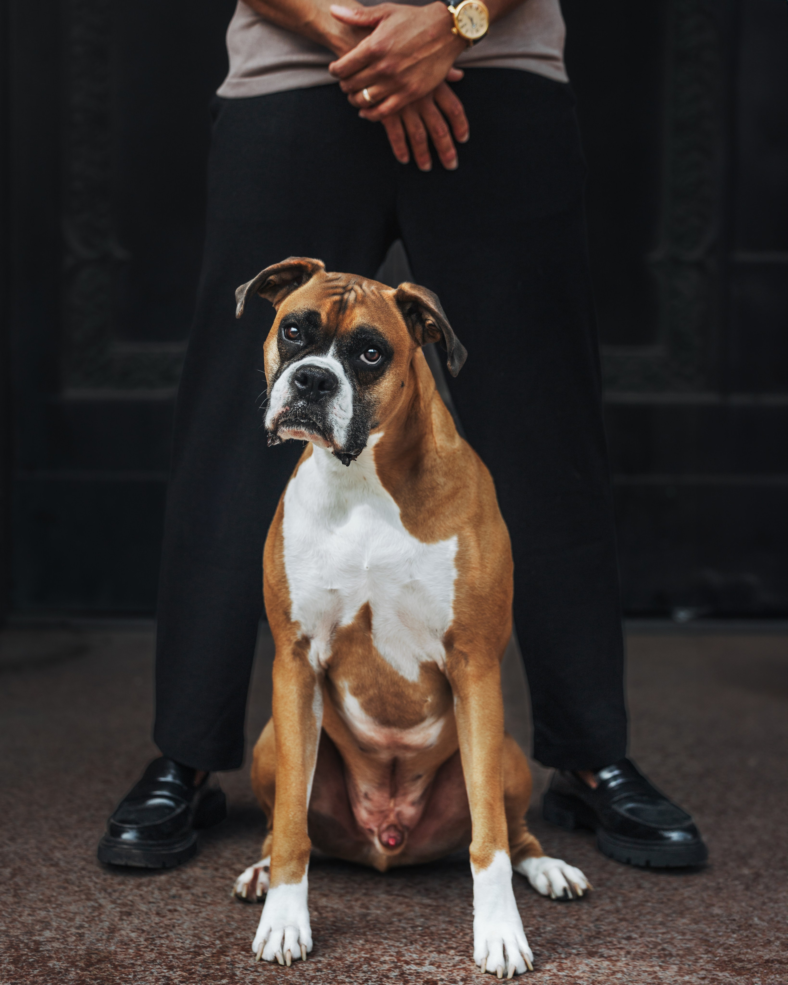 Oliver & Darin. Pet Photographer Viktoriya Aleshenko