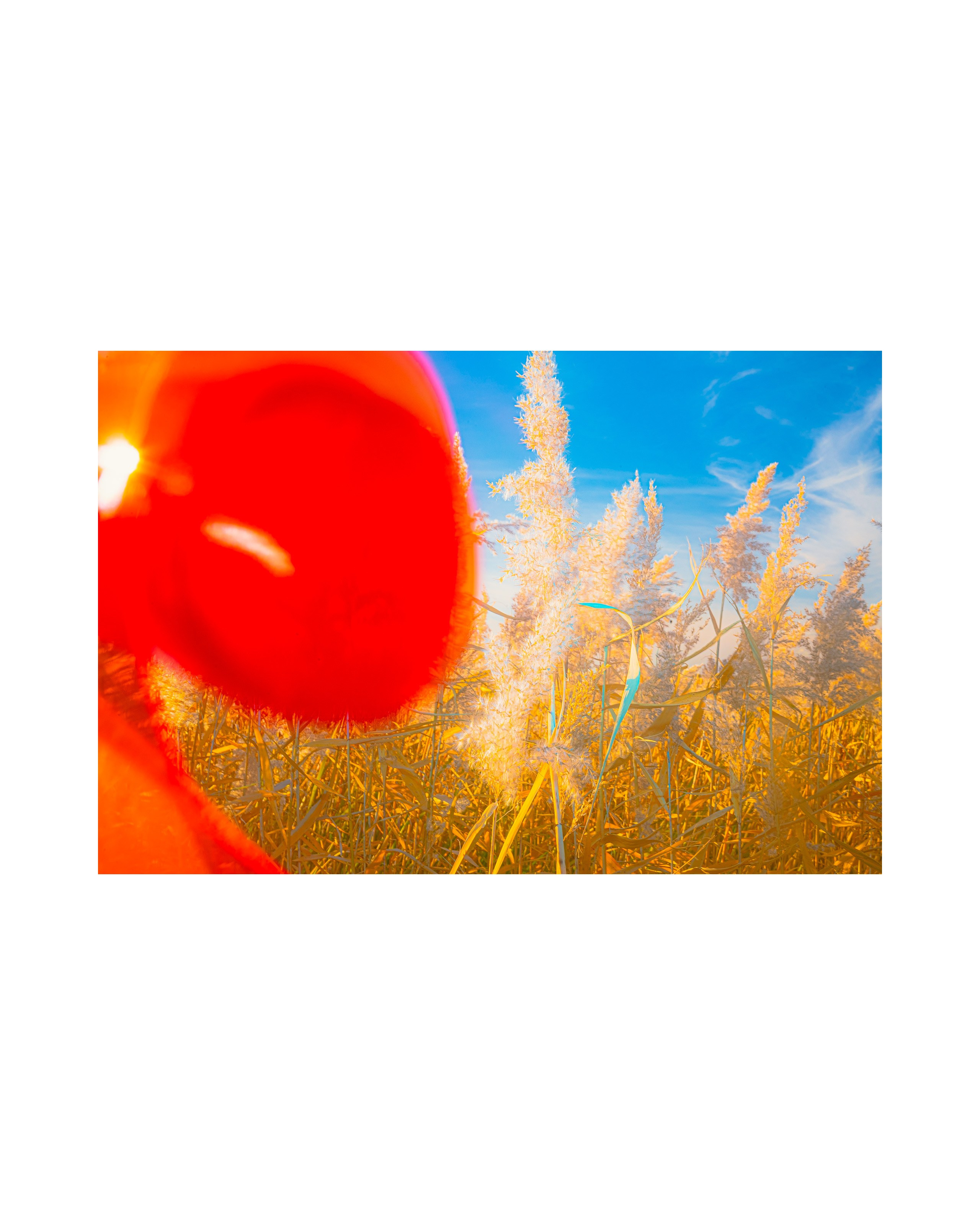 Nature from Exaggerated Worlds. Ekaterina Tsurkina-Appina Photography Canada