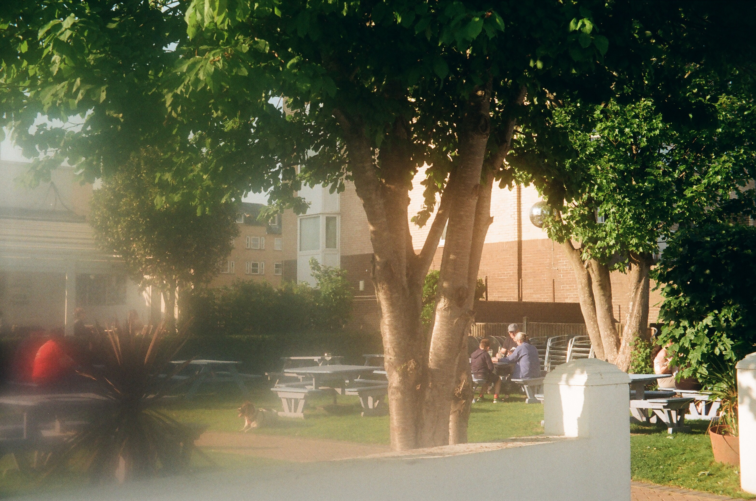 Folkestone (England, UK) 2025. Elena Zykova film photographer in London