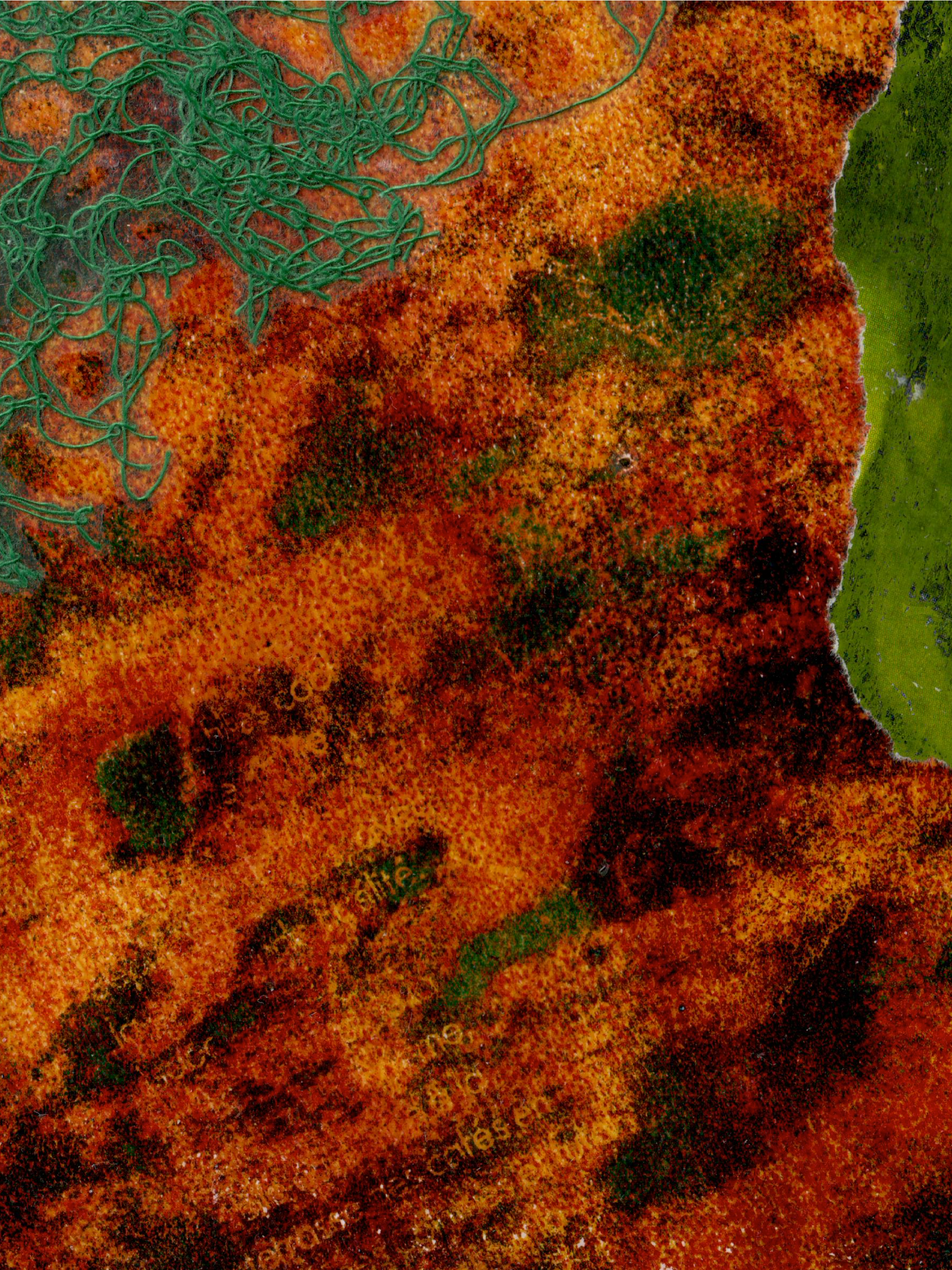 The trap. Rita Salnikova — Collage Artist and Visual Creator in Grenoble France